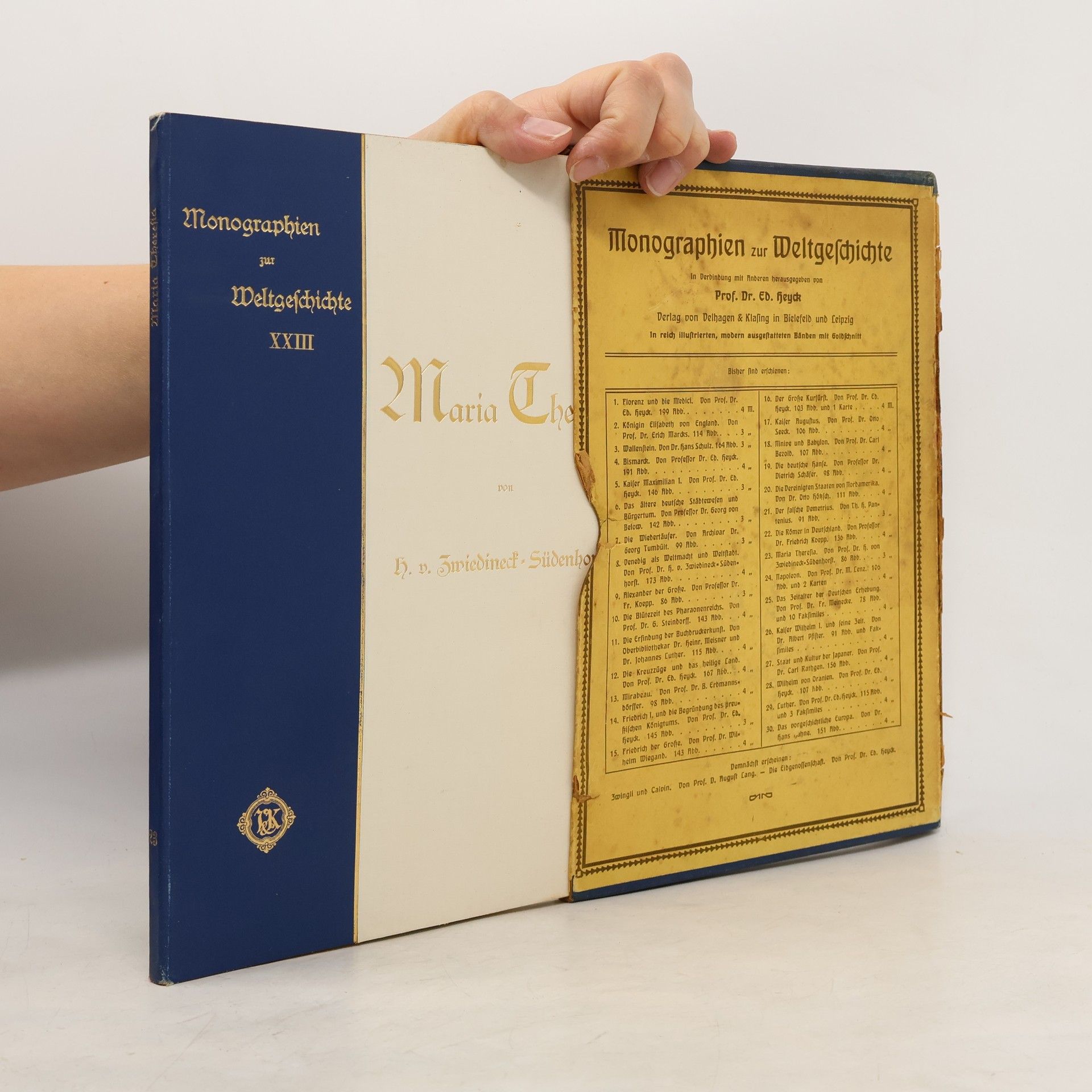 Hans v. Prof. Wzeidineck Südenhorst Monographien zur Weltgeschichte XXIII. Maria Theresia