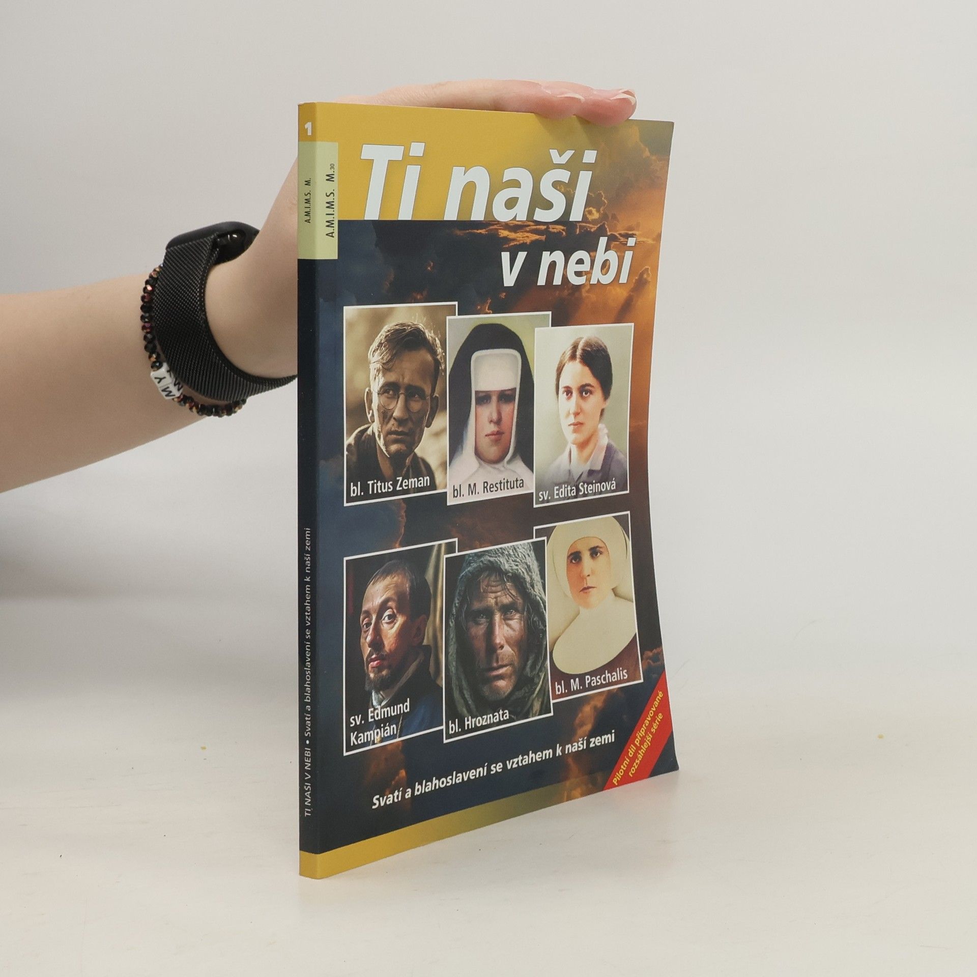 Autorenkollektiv Ti naši v nebi