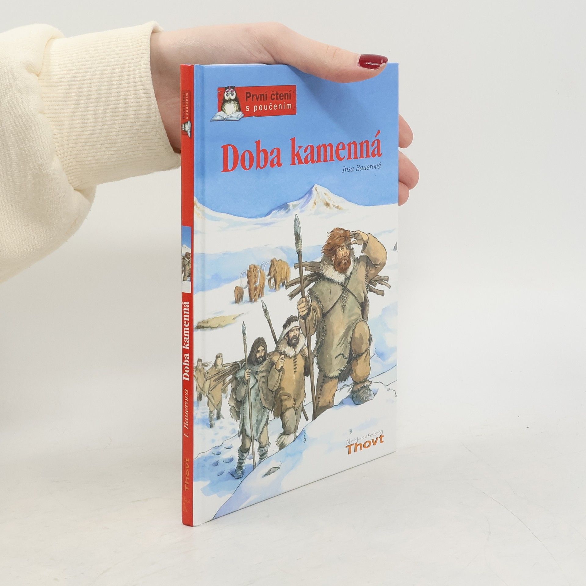 Insa Bauer Doba kamenná