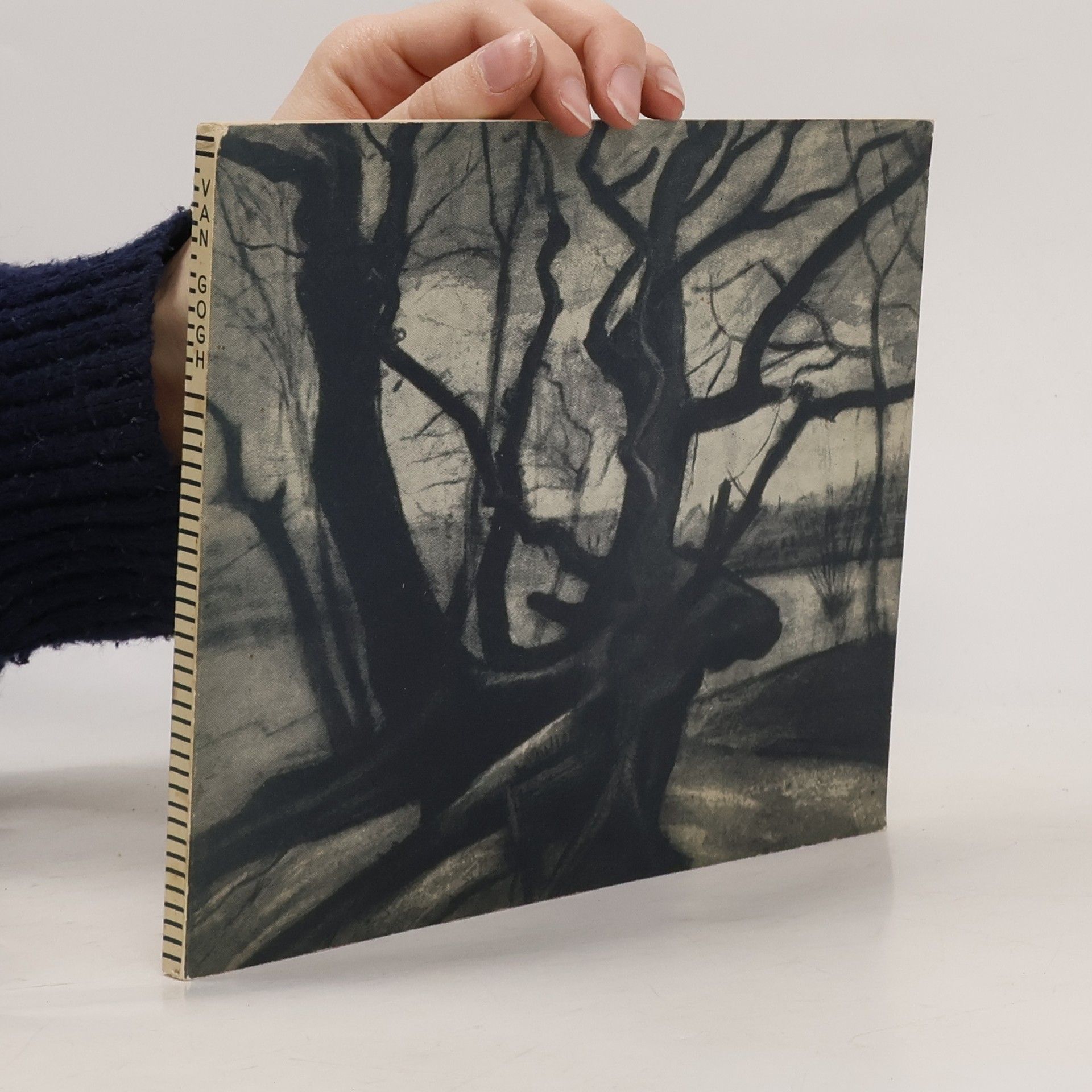 kolektiv Katalog von 272 Werken von Vincent van Gogh