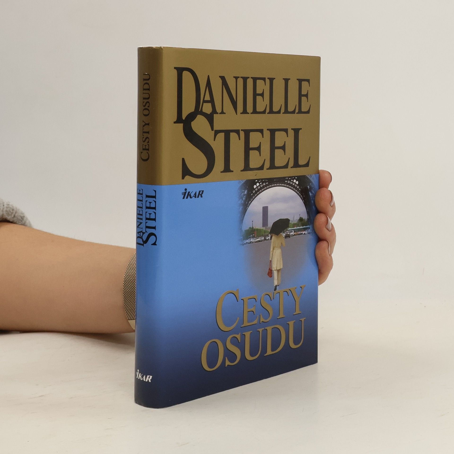 Danielle Steel Cesty osudu