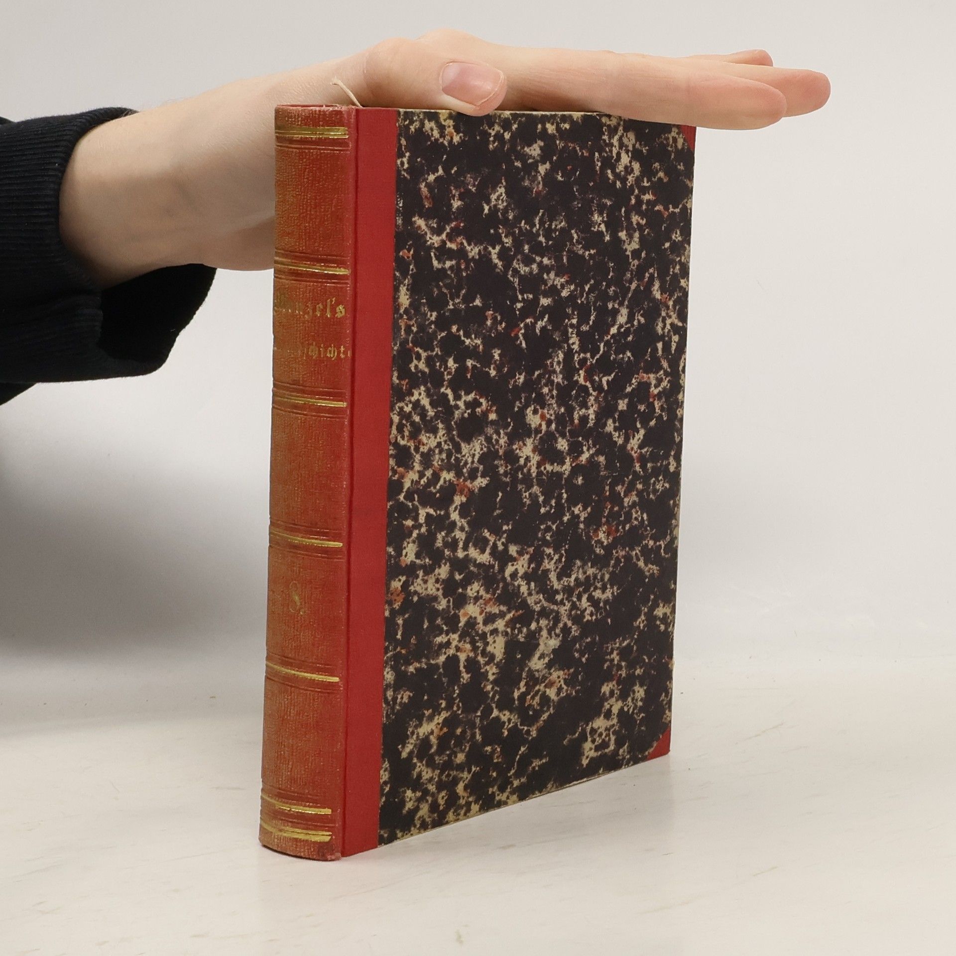 Allgemeine Weltgeschichte 8