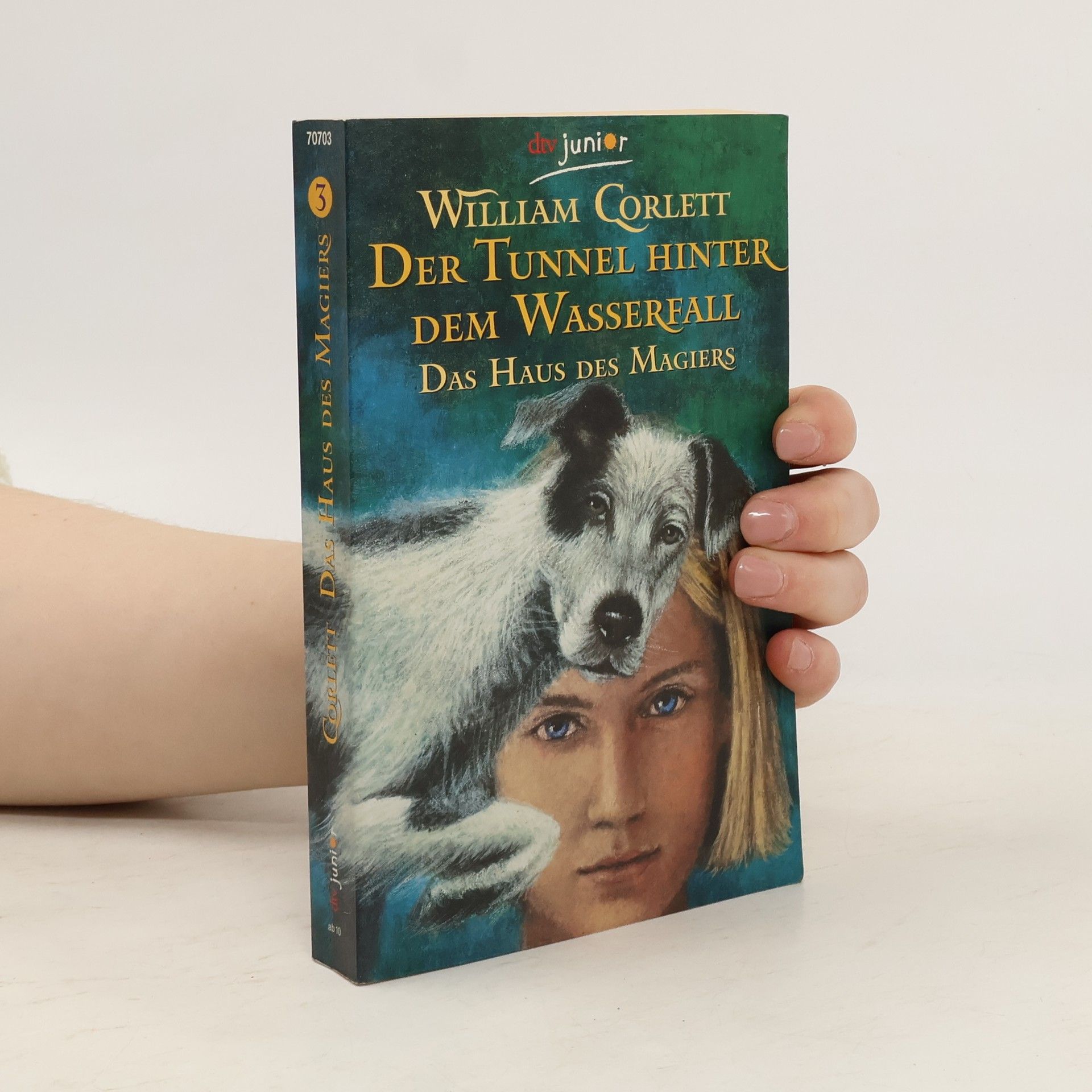 William Corlett Der Tunnel hinter dem Wasserfall