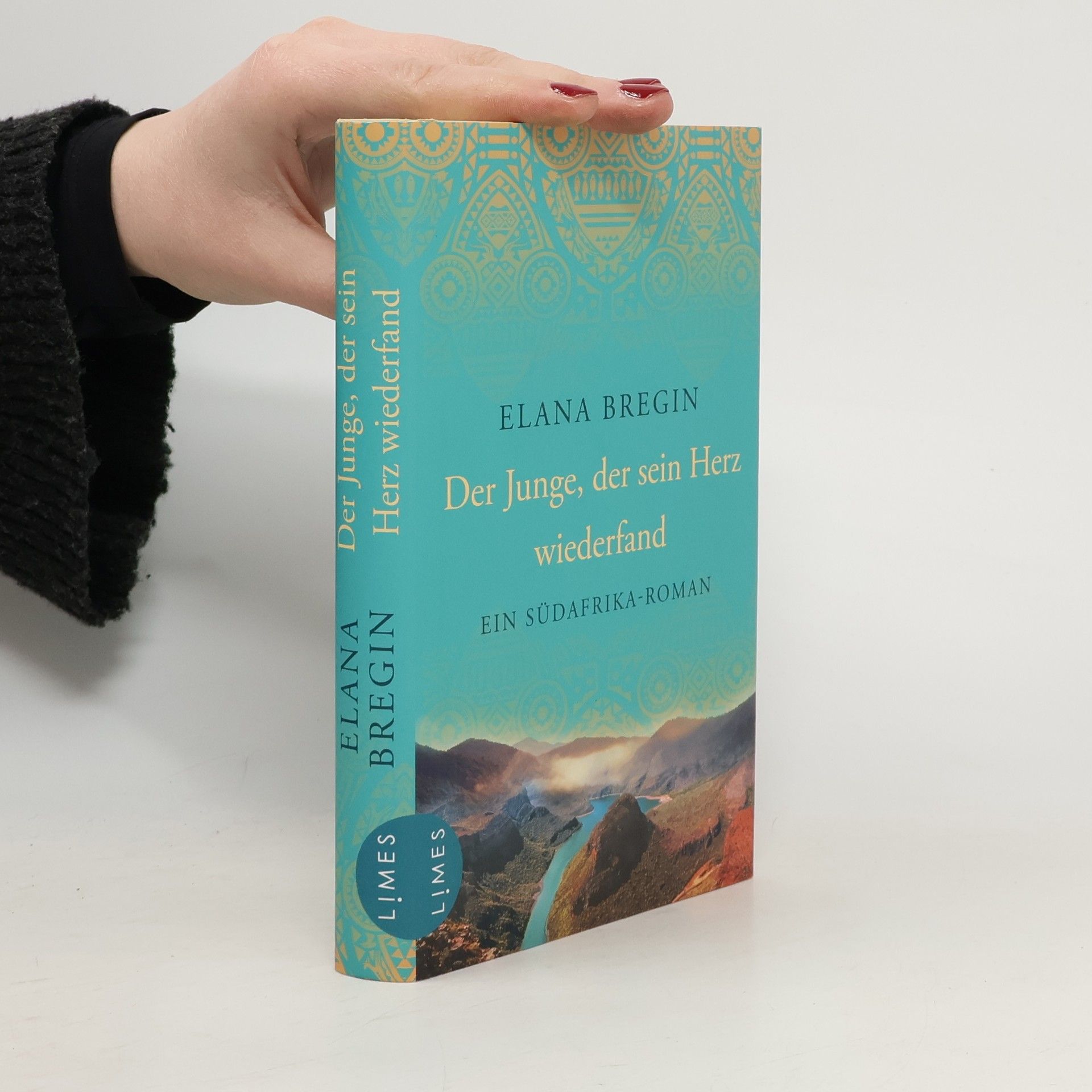 Elana Bregin Der Junge, der sein Herz wiederfand