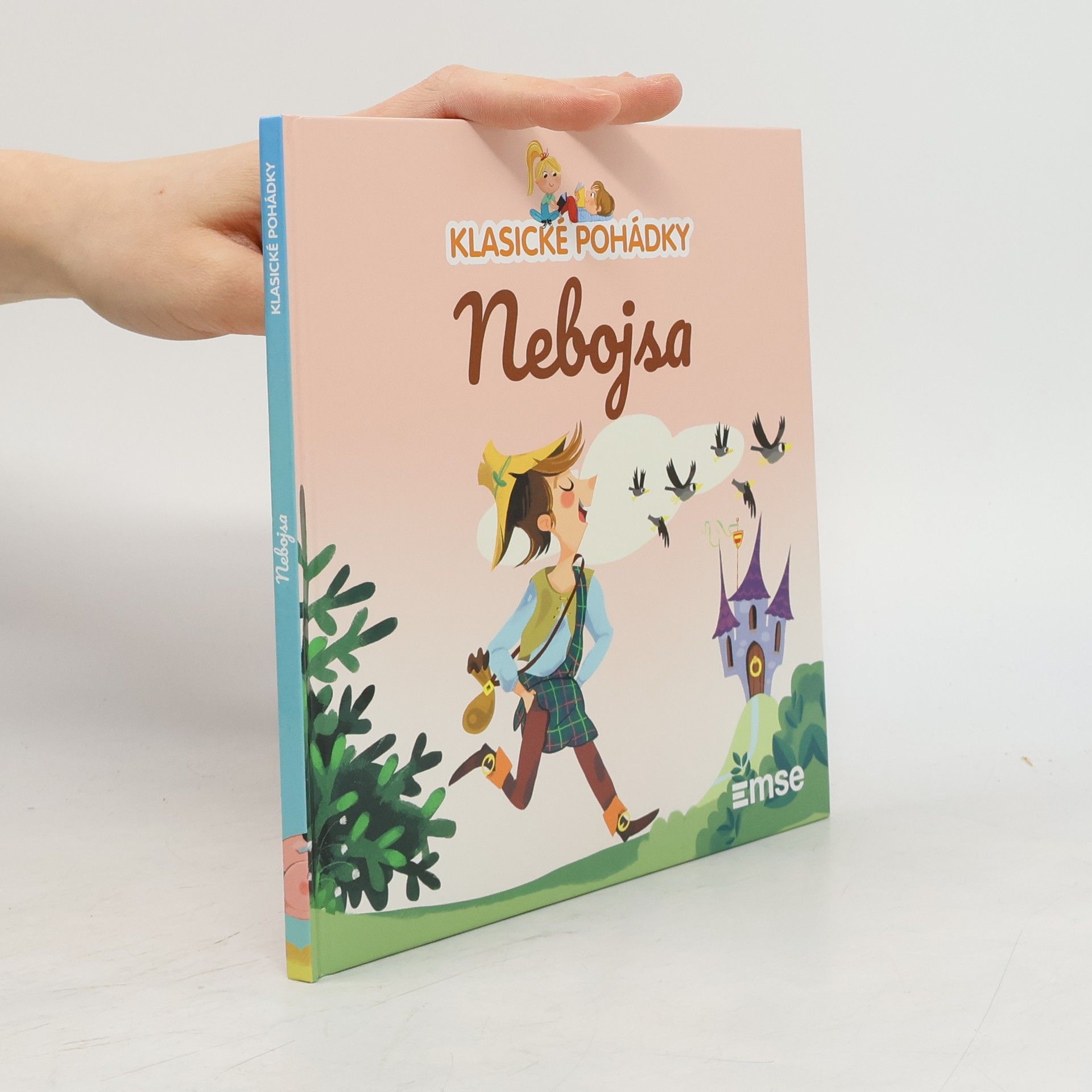 Kolektiv autorů Nebojsa