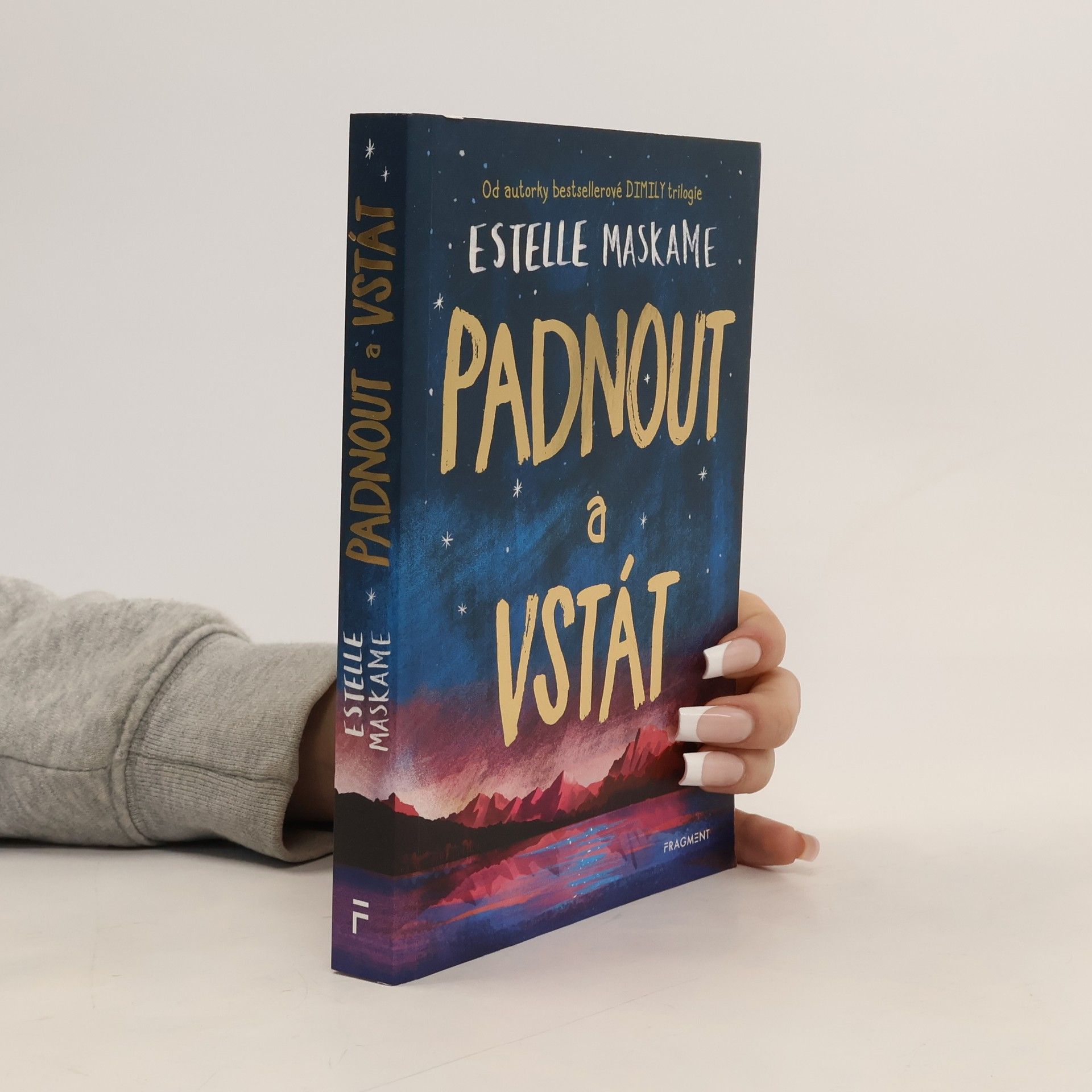 Estelle Maskame Padnout a vstát