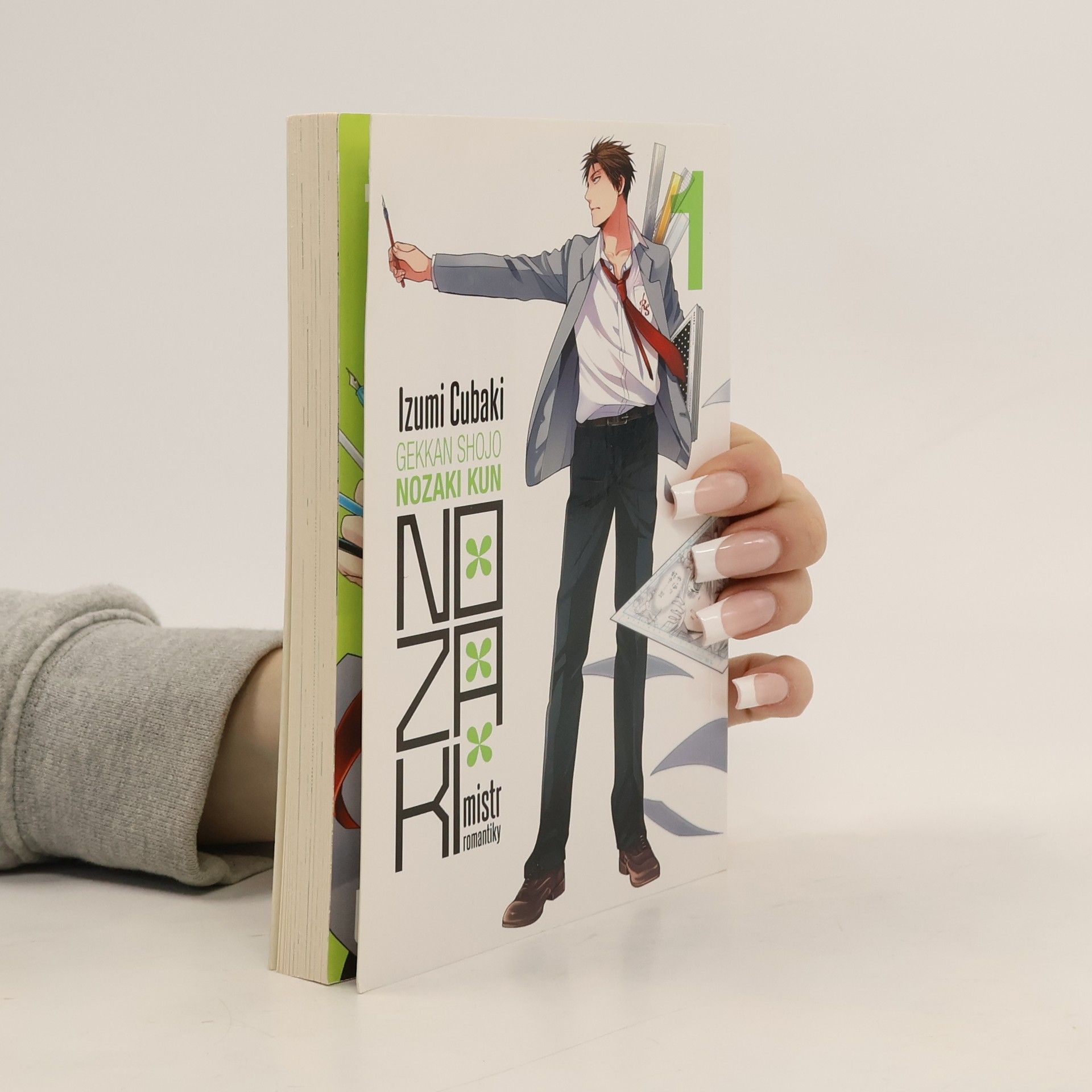 Nozaki mistr romantiky 1