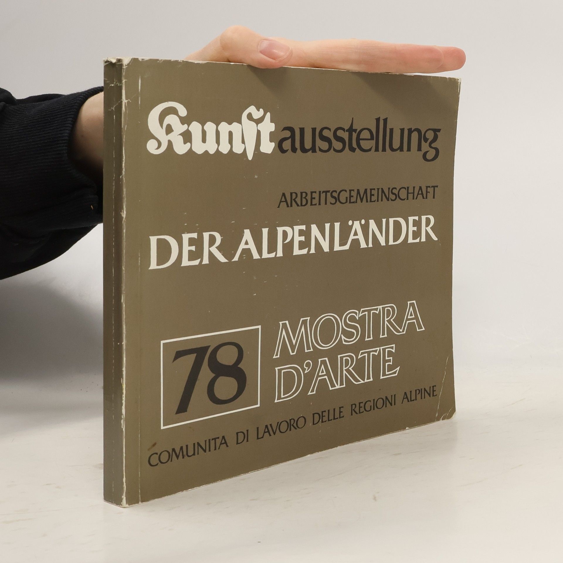 Autorenkollektiv Kunstausstellung der Arbeitsgemeinschaft der Alpenländer