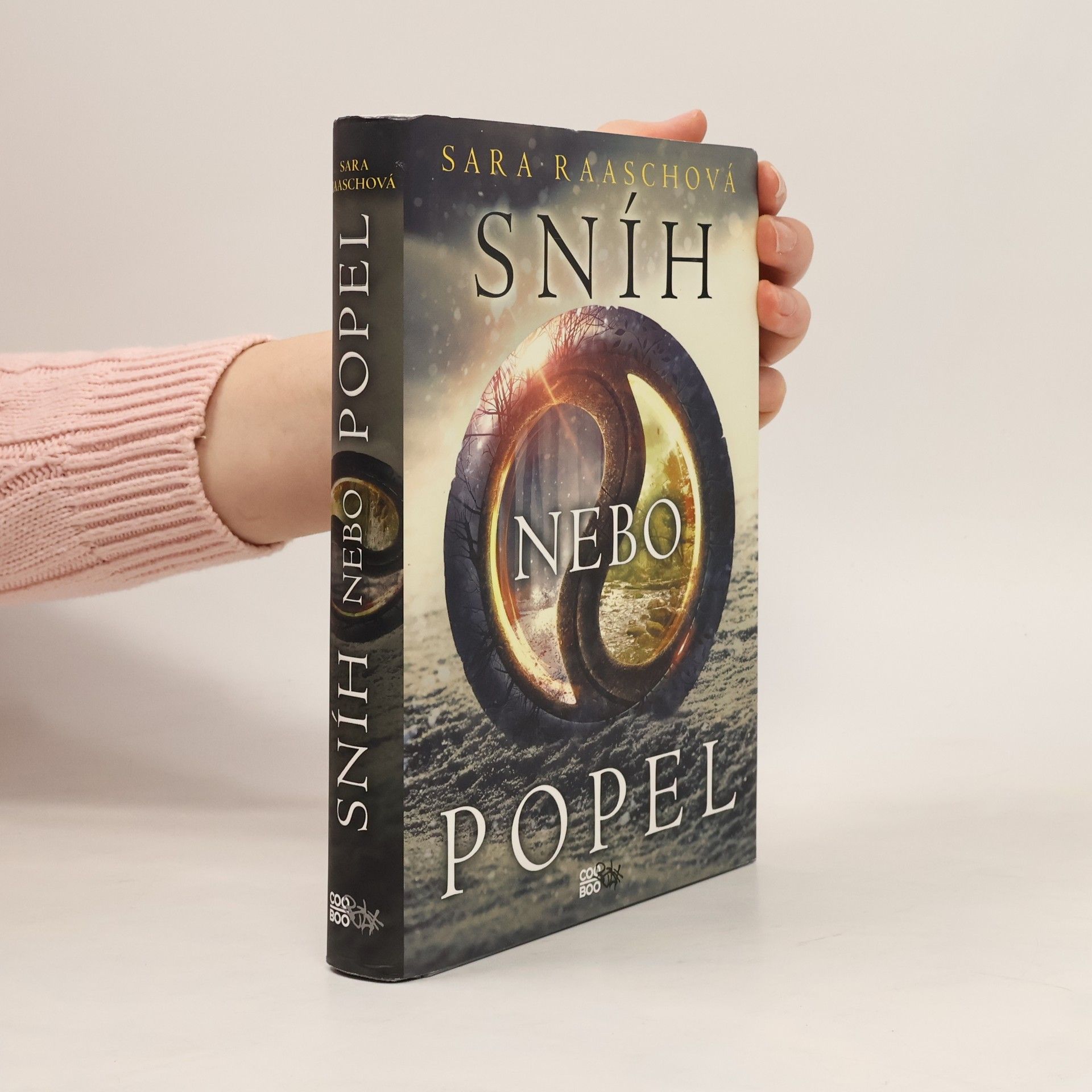 Sara Raasch Sníh nebo popel