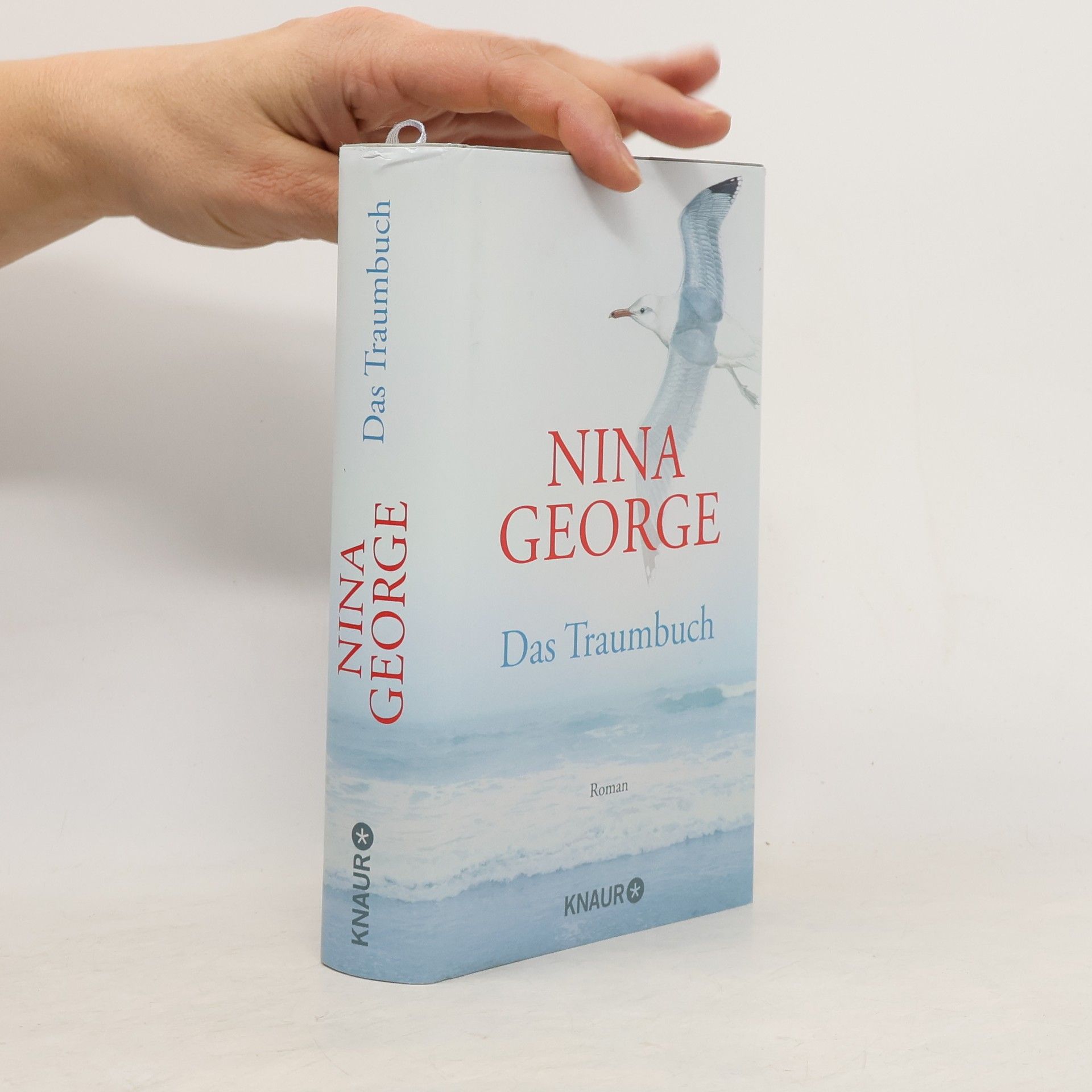 Nina George Das Traumbuch