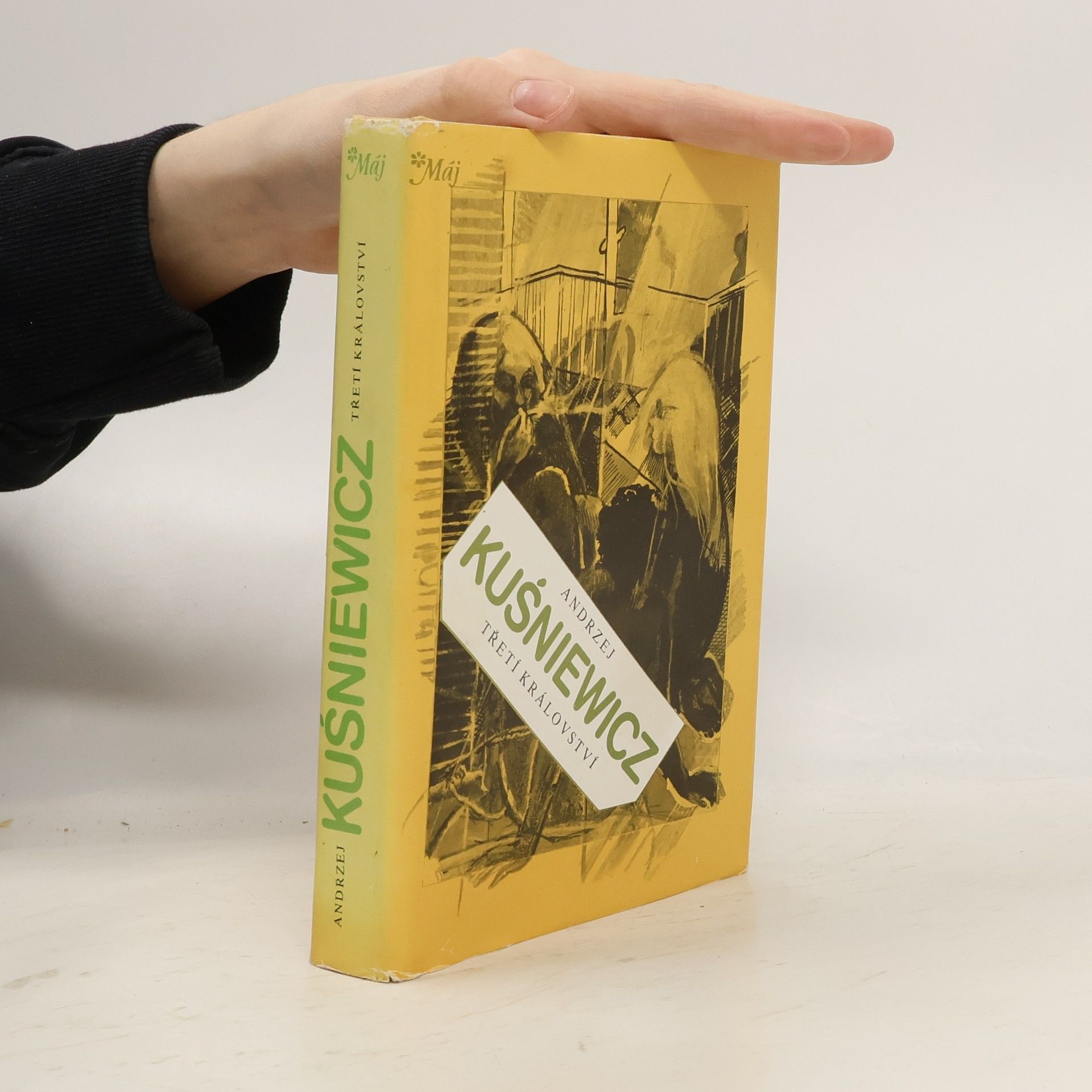 Andrzej Kuśniewicz Třetí království