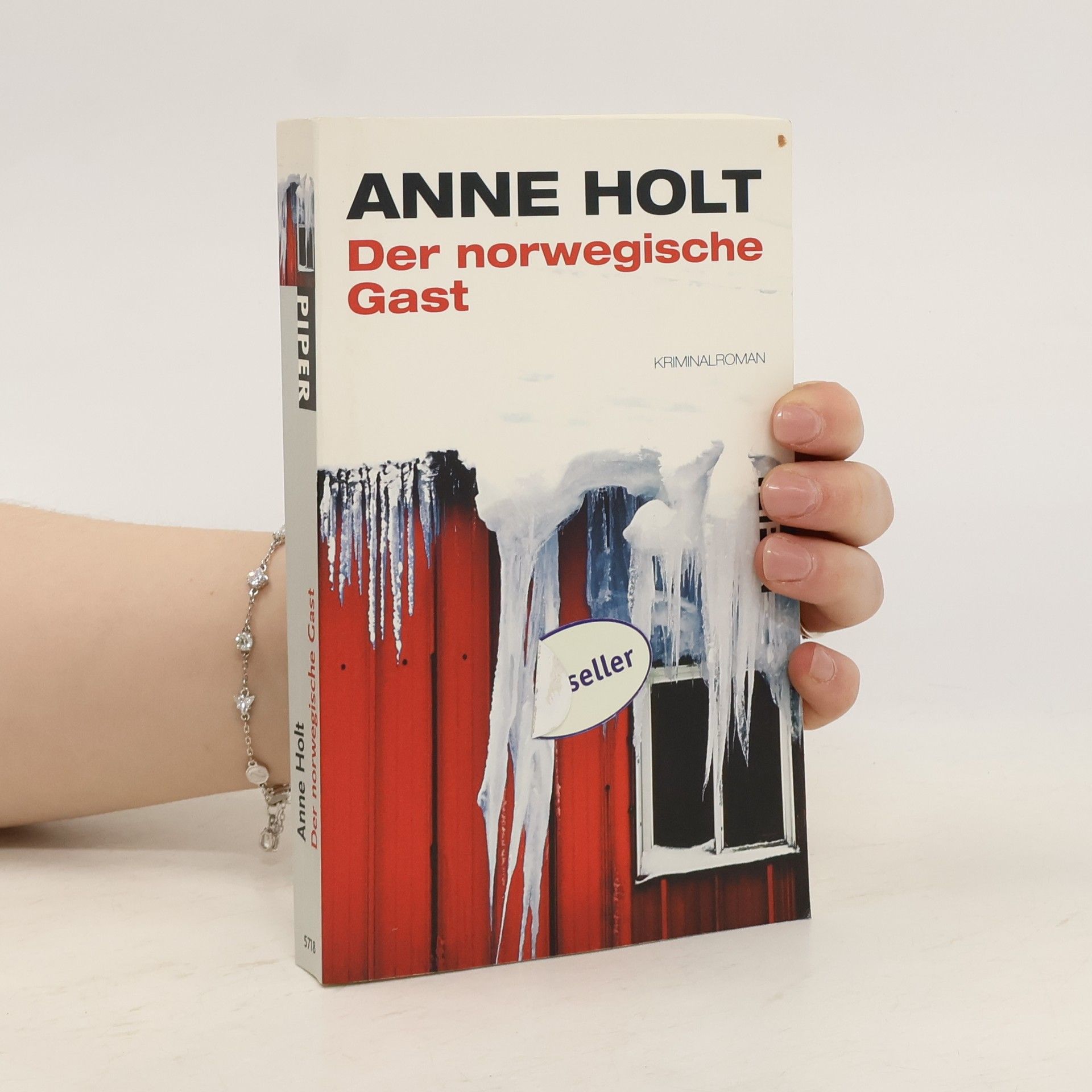 Anne Holt Der norwegische Gast