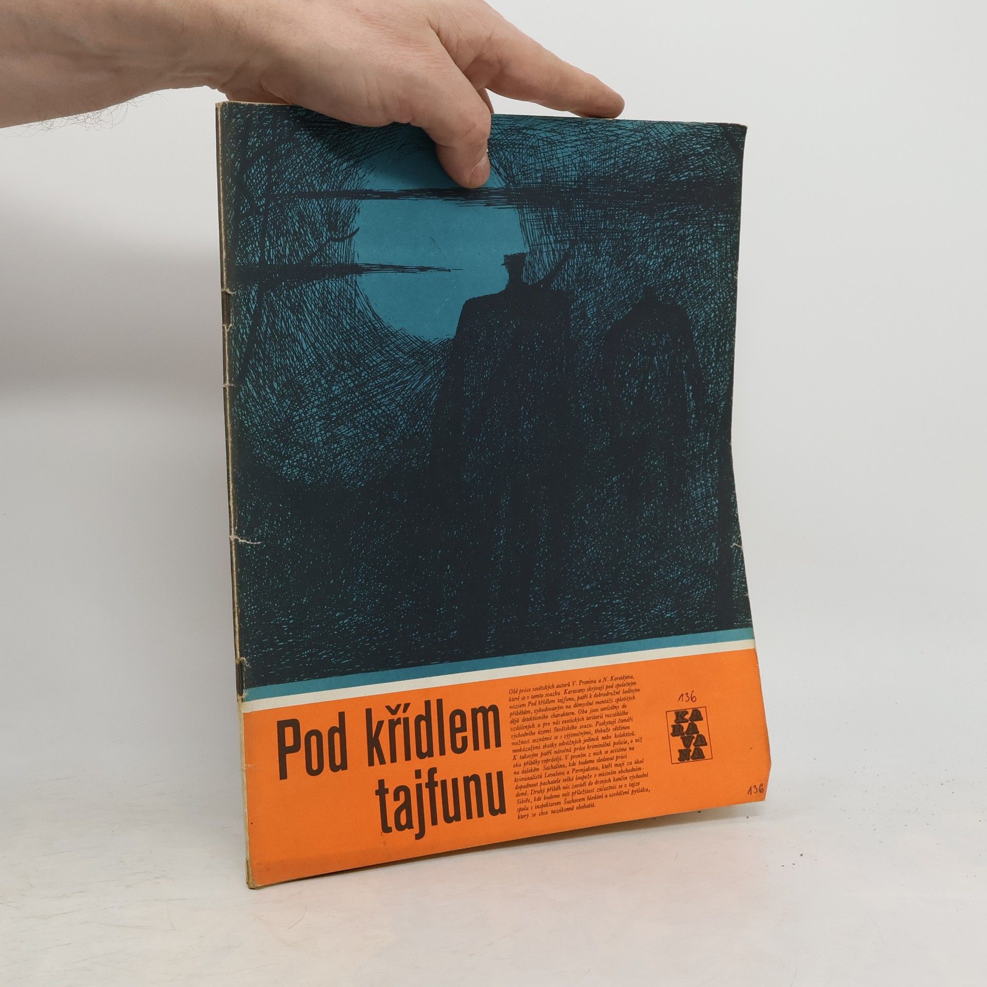 Pod křídlem tajfunu