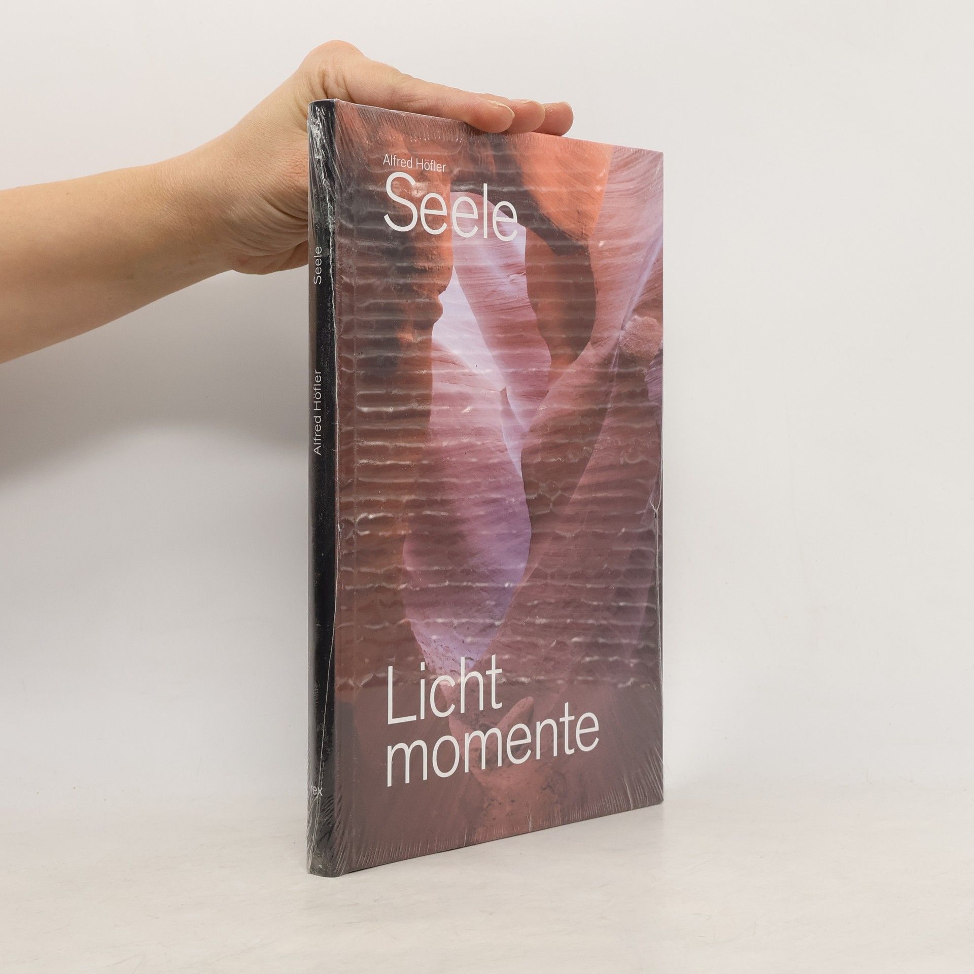 Alfred Höfler Seele, Lichtmomente
