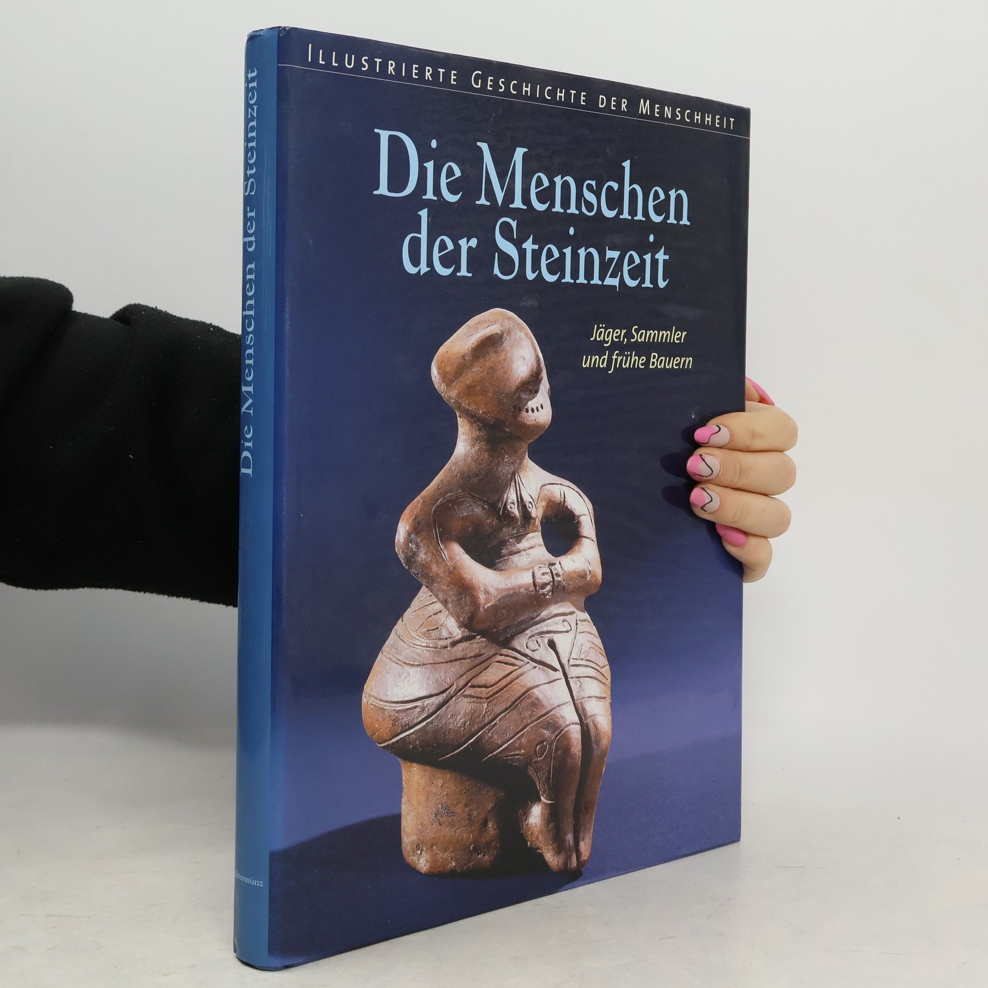 Goran Burenhult Die Menschen der Steinzeit