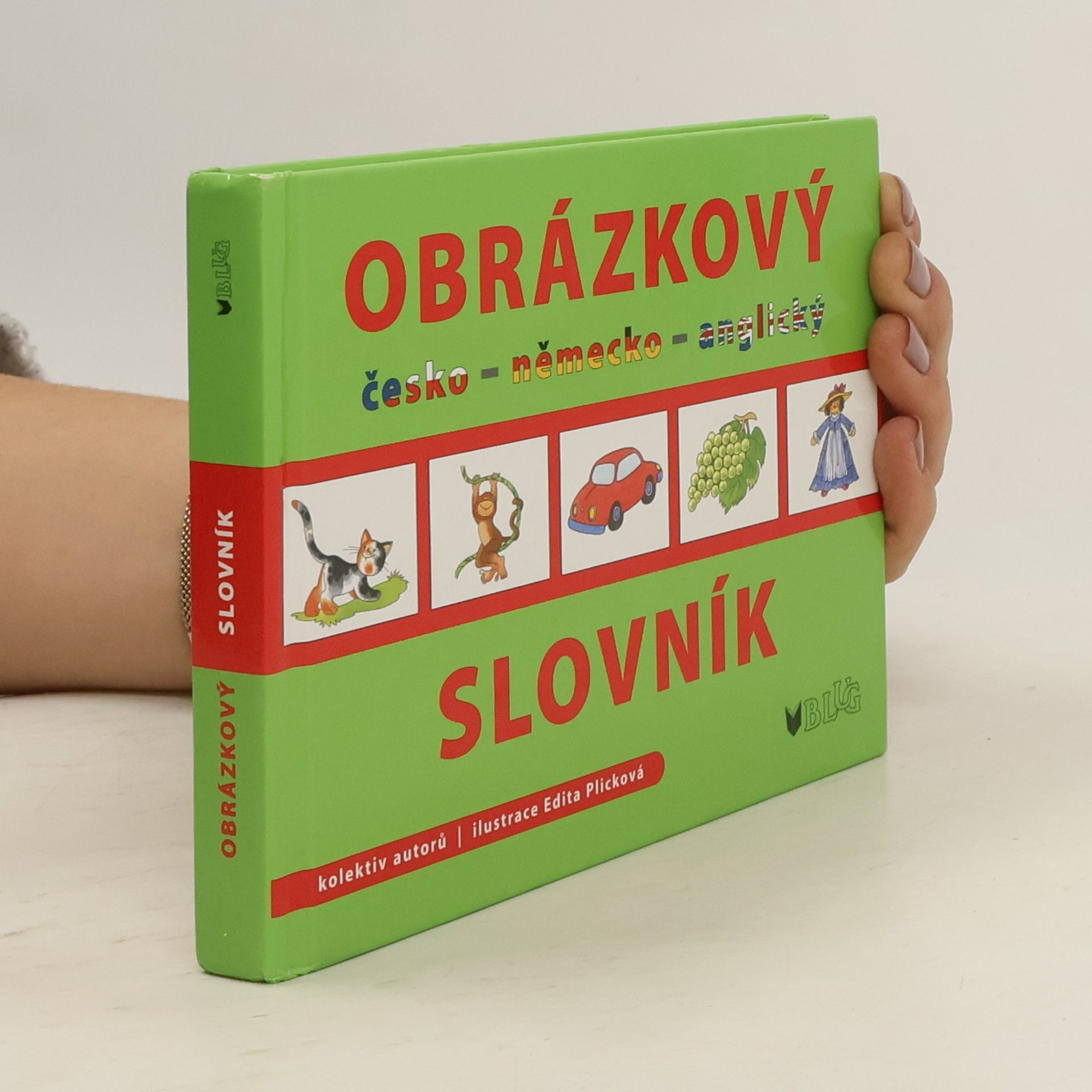 Obrázkový slovník: česko - německo - anglický