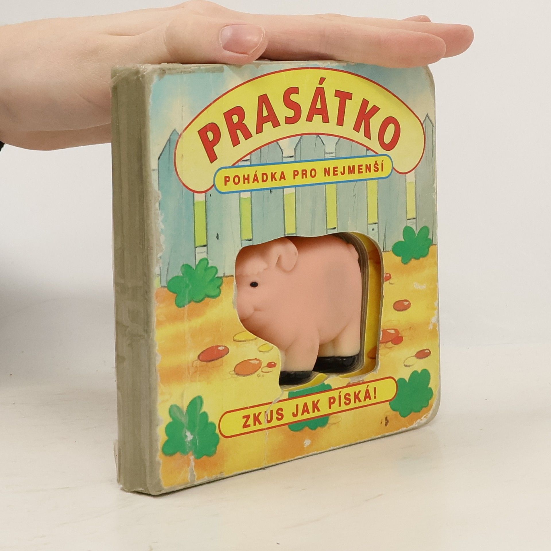 Centrum dětského vzdělávání Prasátko. Pohádka pro nejmenší