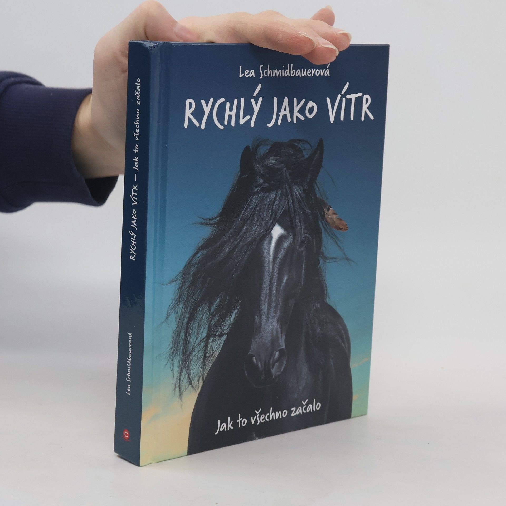 Jak to všechno začalo