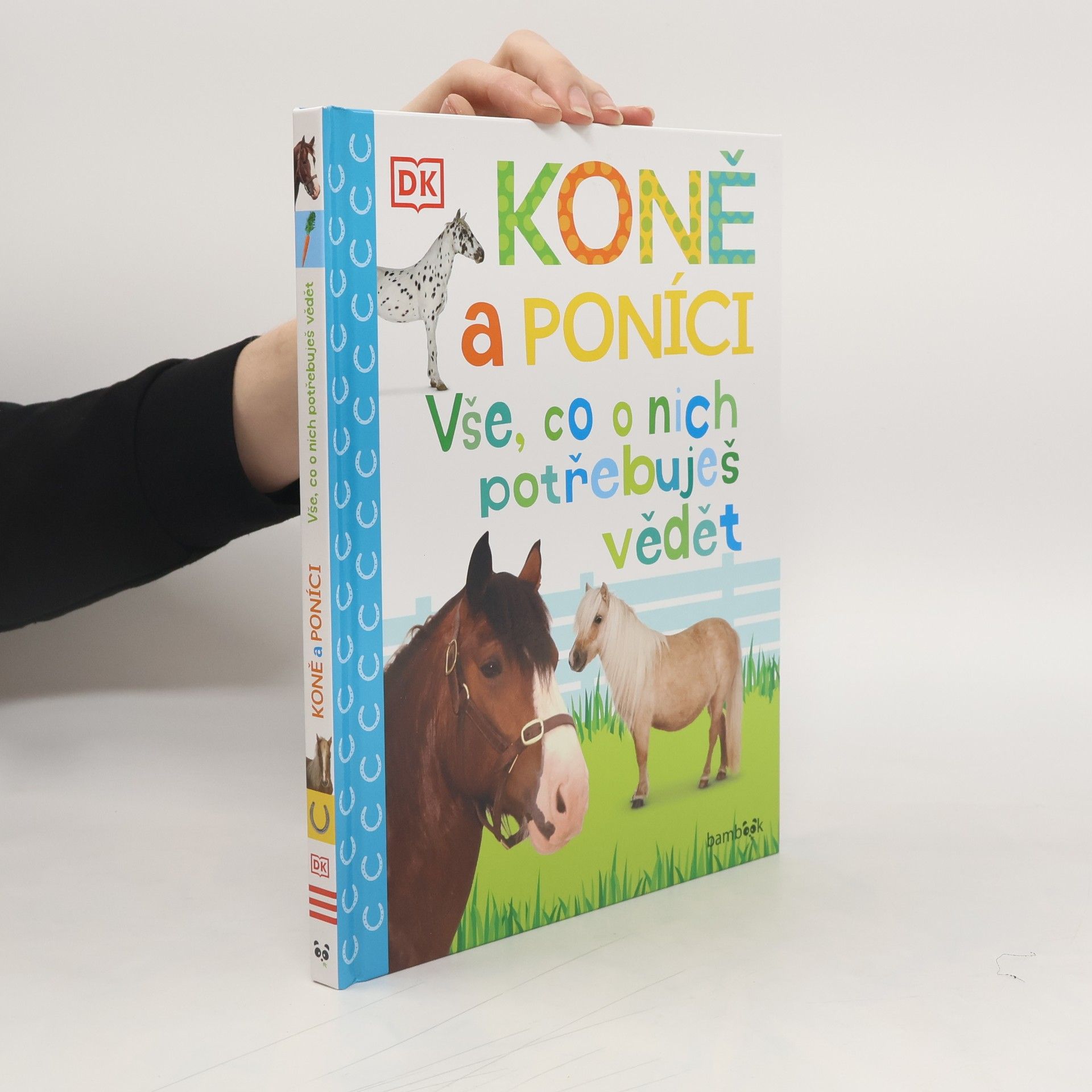 Andrea Mills Koně a poníci – Vše, co o nich potřebuješ vědět