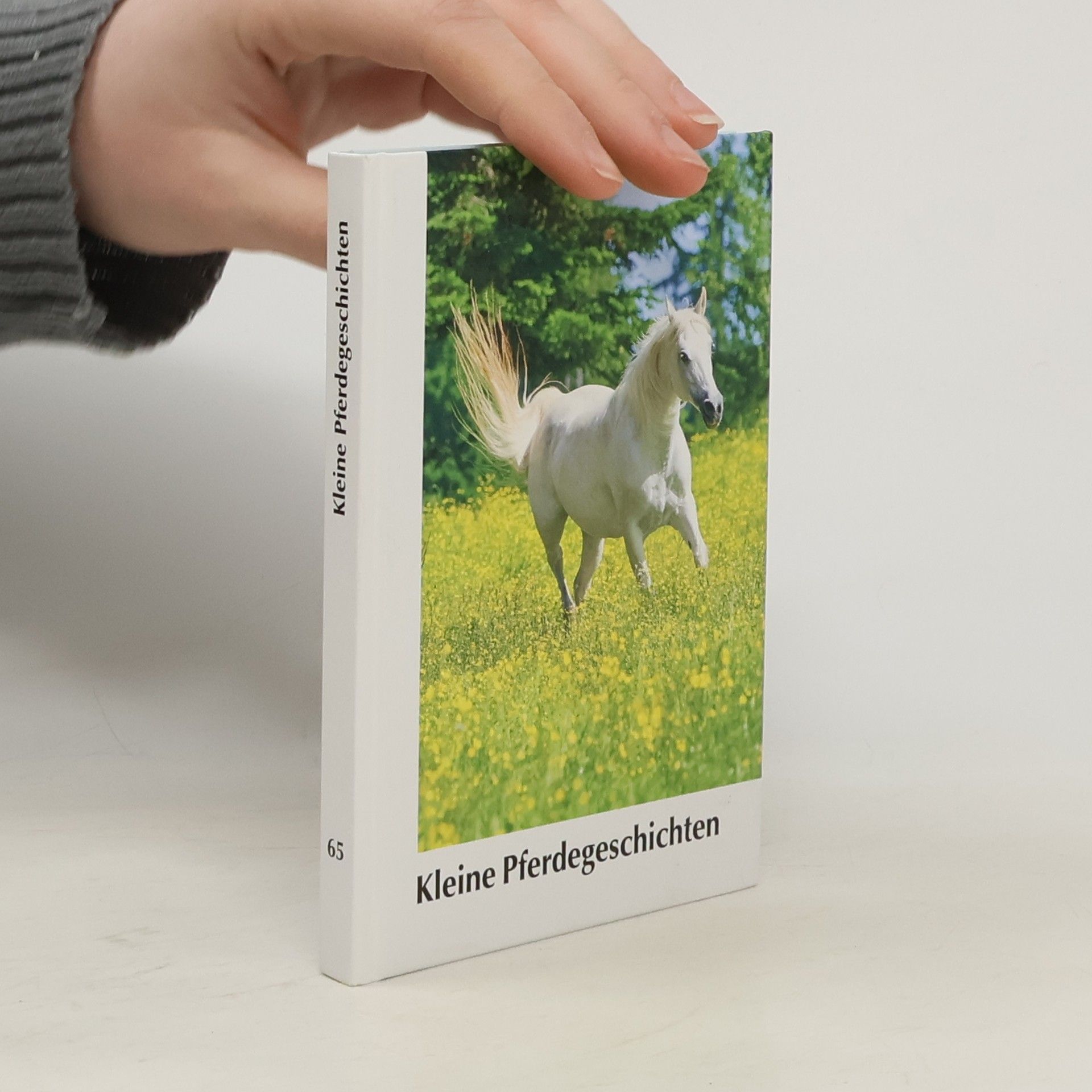 Autorenkollektiv Kleine Pferdegeschichten 65