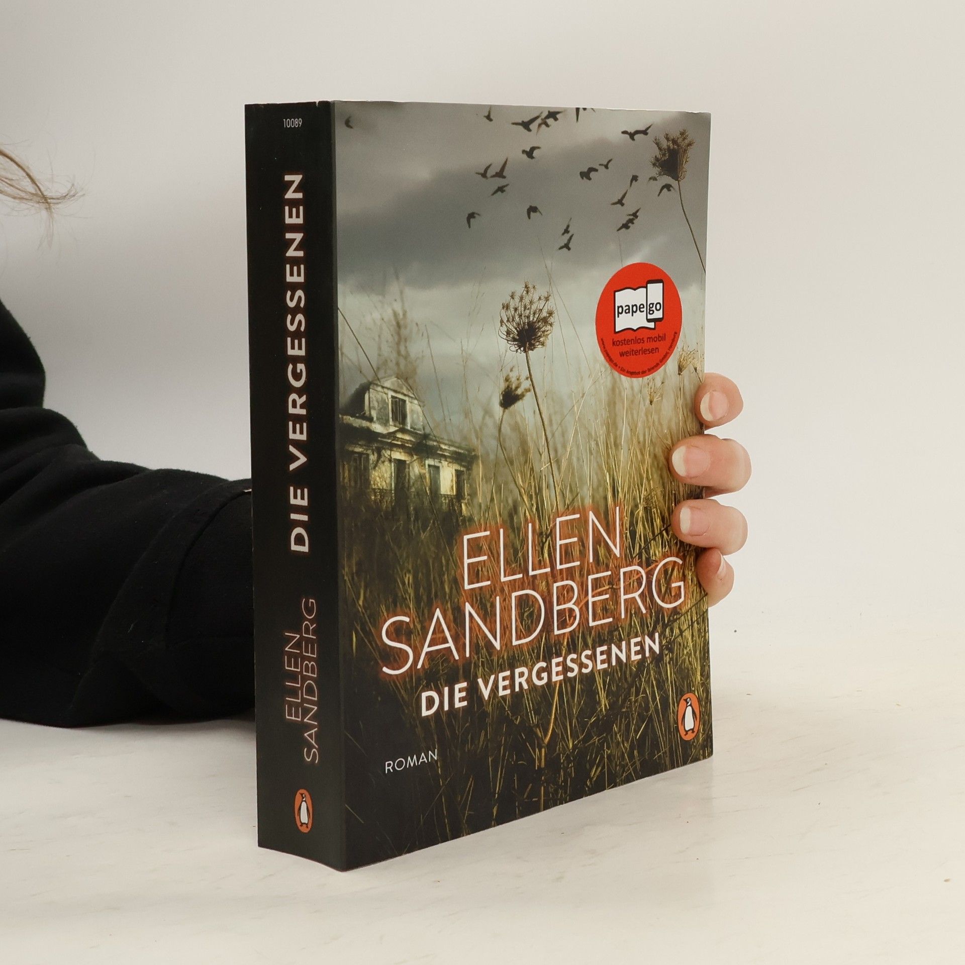Ellen Sandberg Die Vergessenen