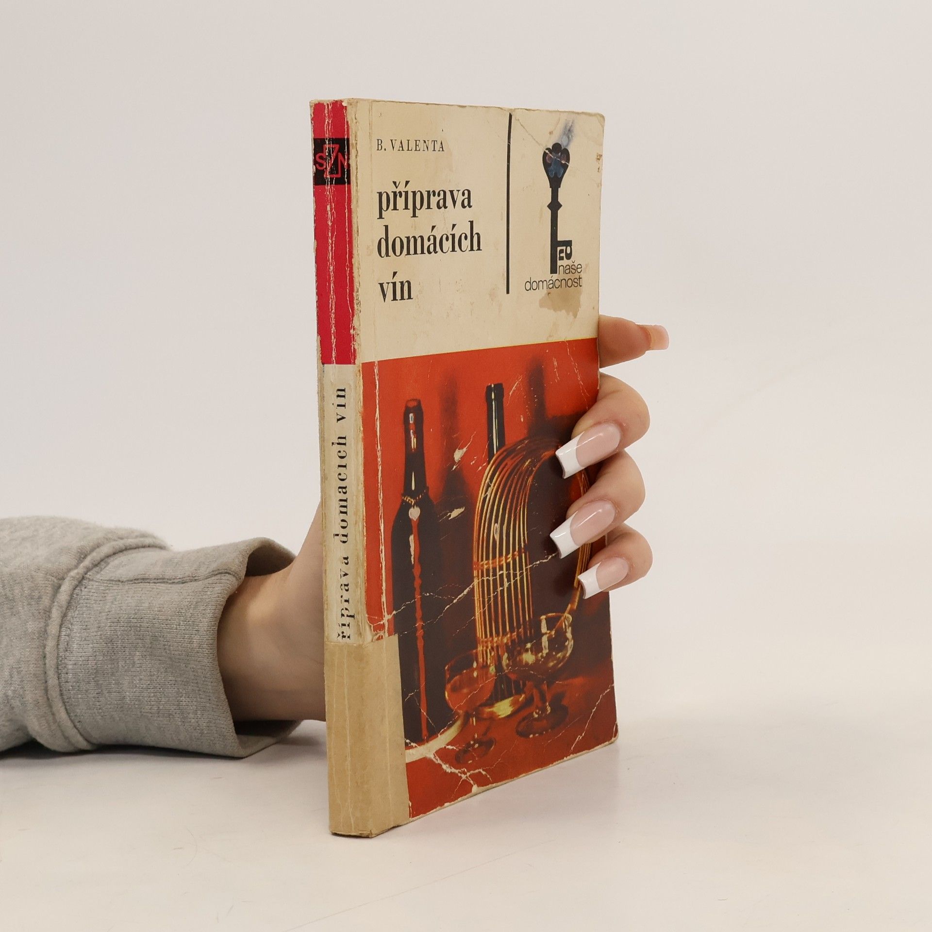 Boris Valenta Příprava domácích vín
