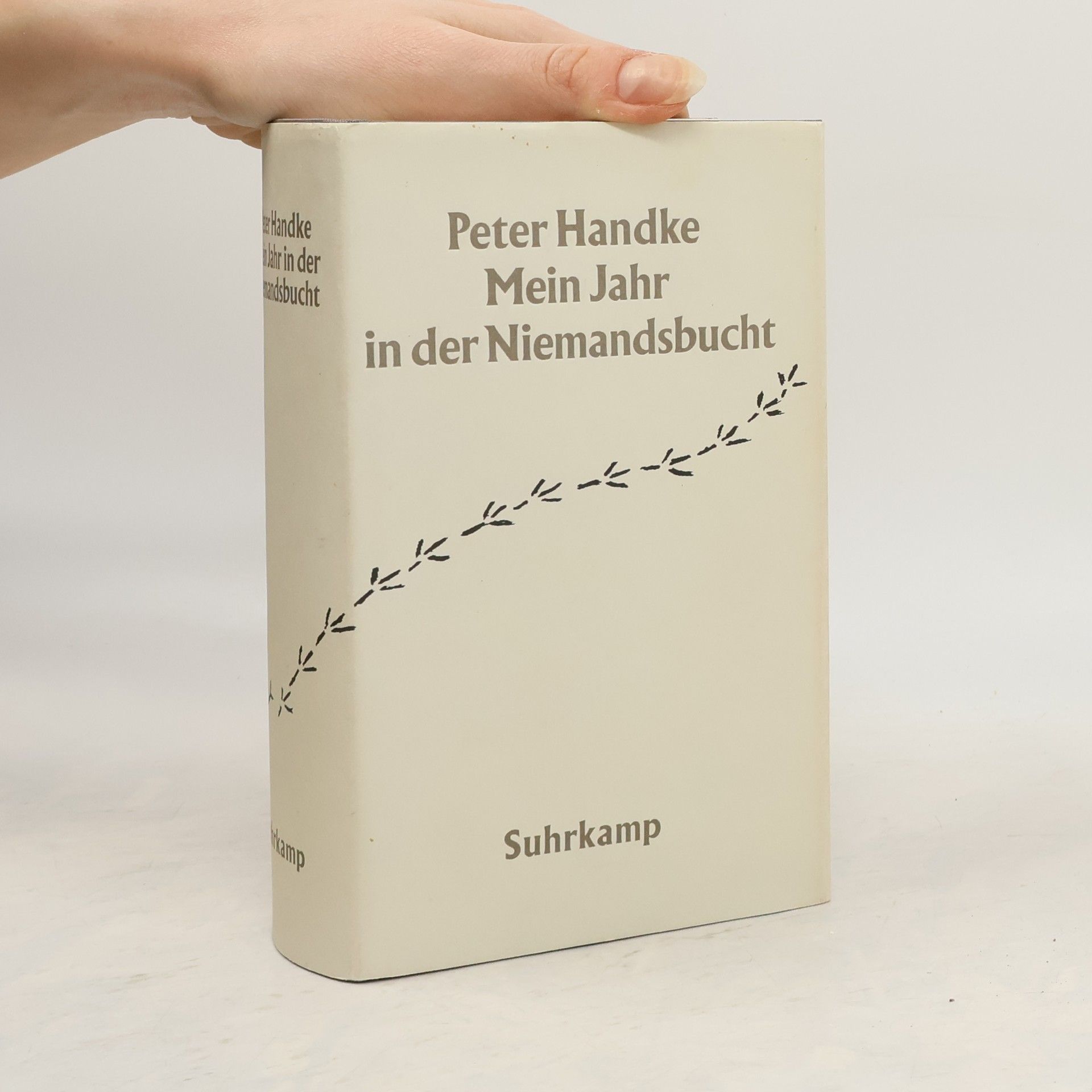 Peter Handke Mein Jahr in der Niemandsbucht
