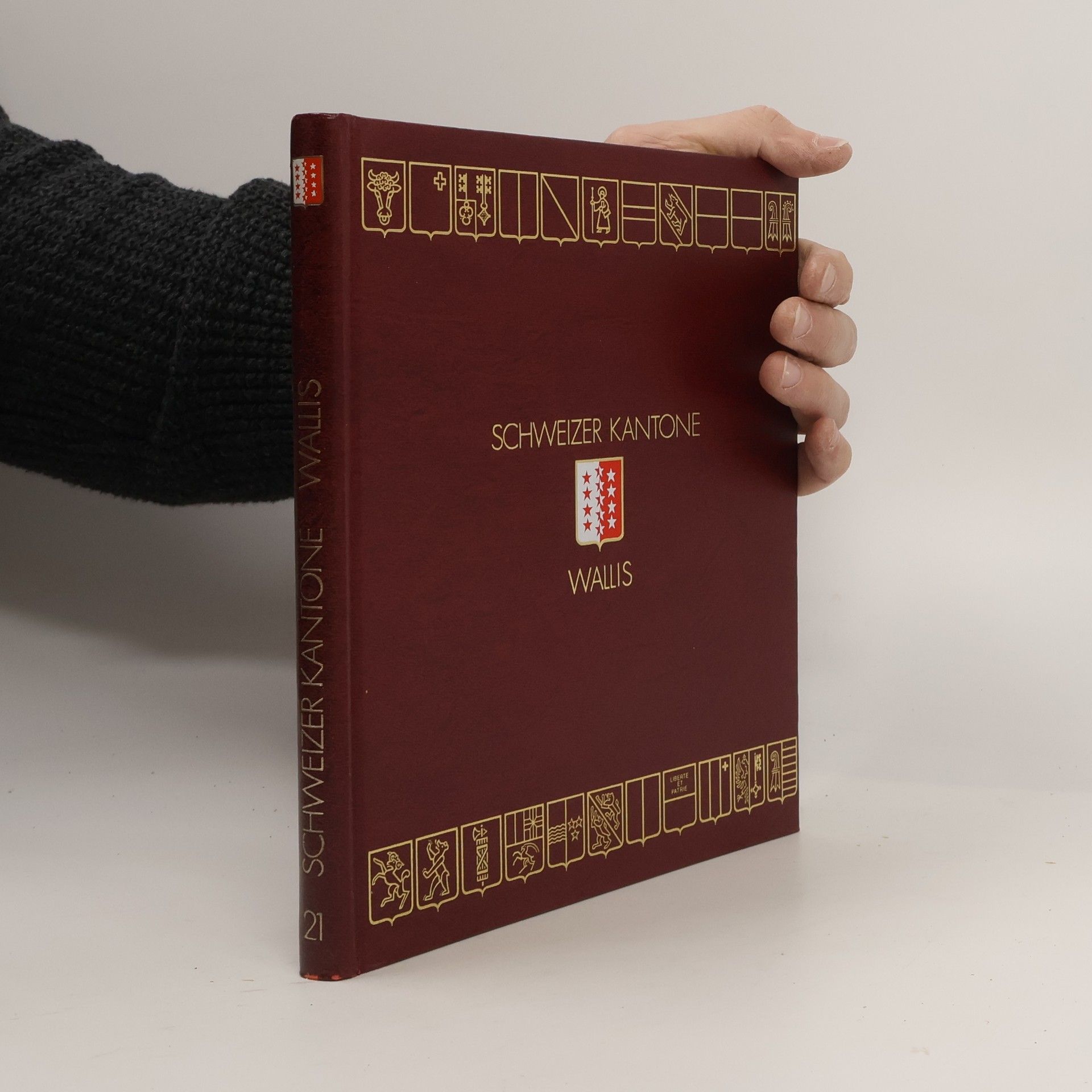 Michel Salamin Wallis