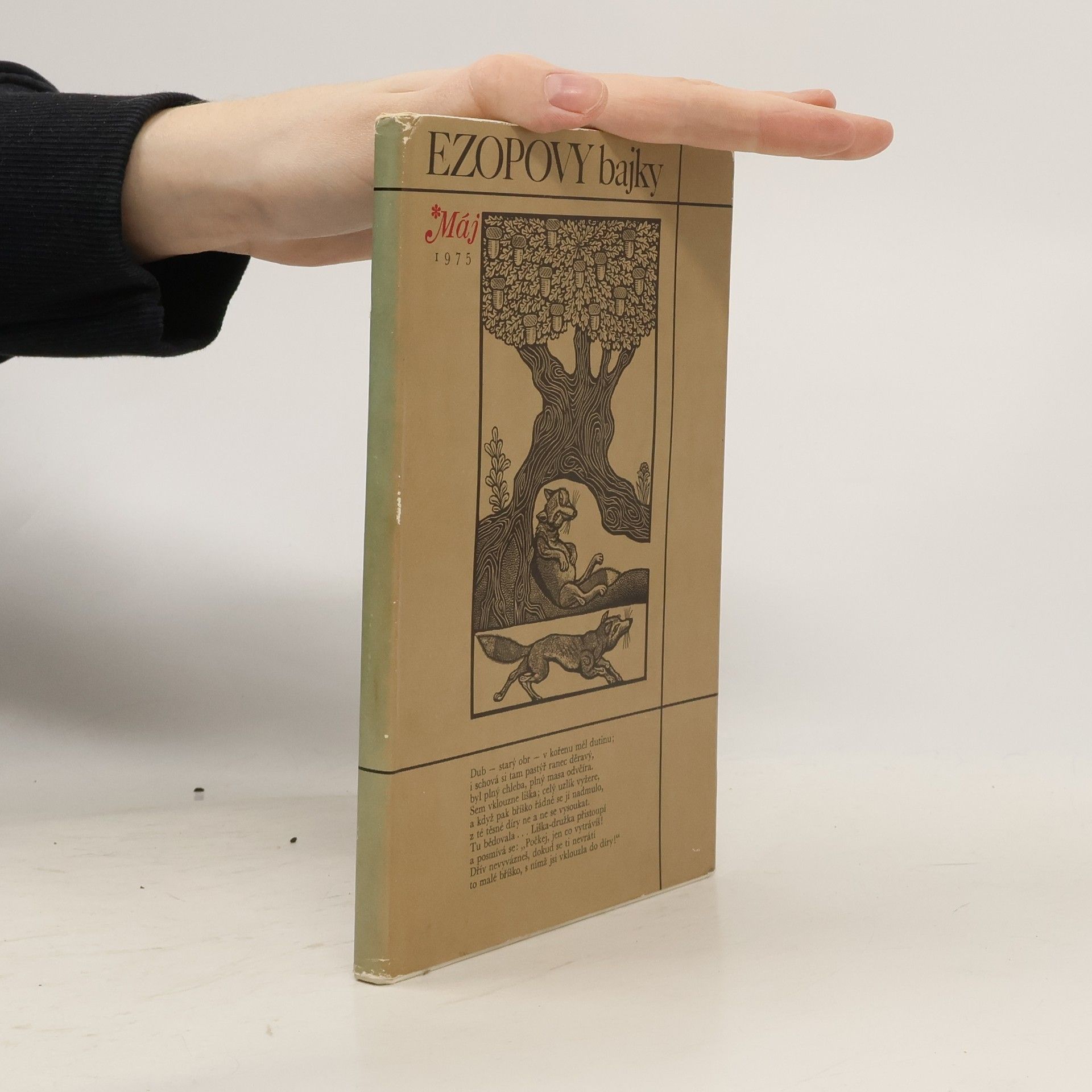 Auteurscollectief Ezopovy bajky