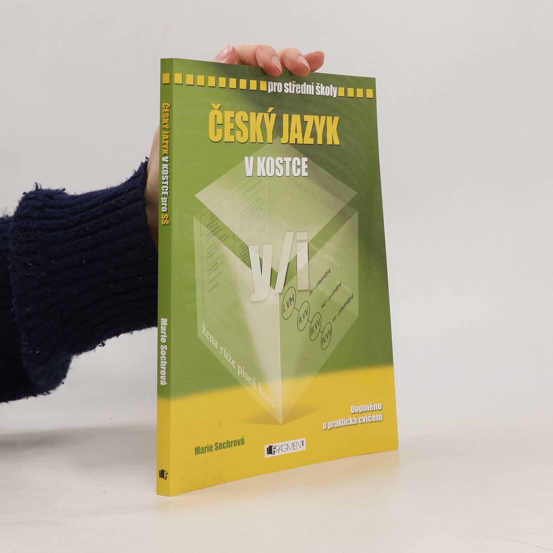 Marie Sochrová Český jazyk v kostce : pro střední školy