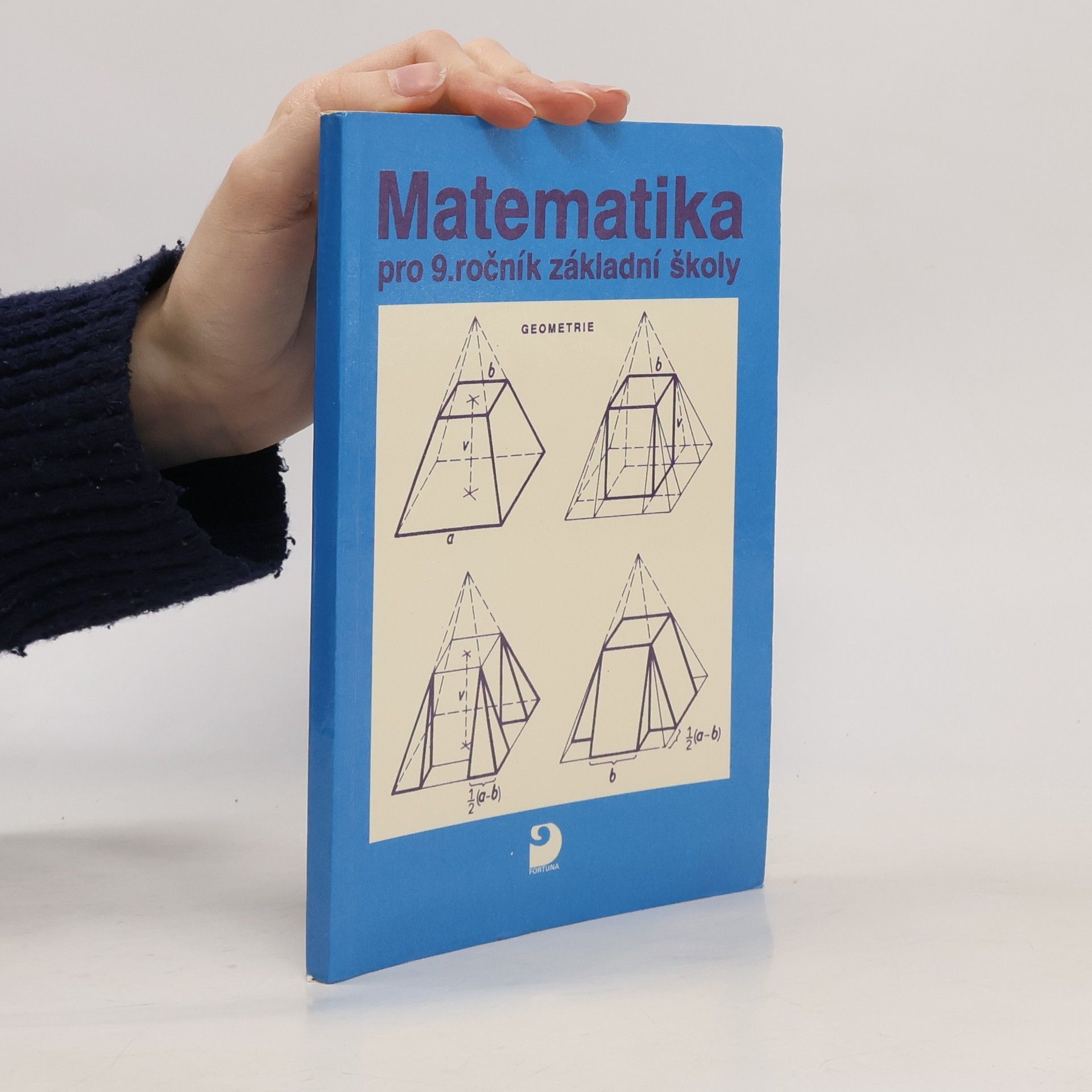 František Kuřina Matematika pro 9. ročník základní školy a nižší třídy gymnázia. Geometrie