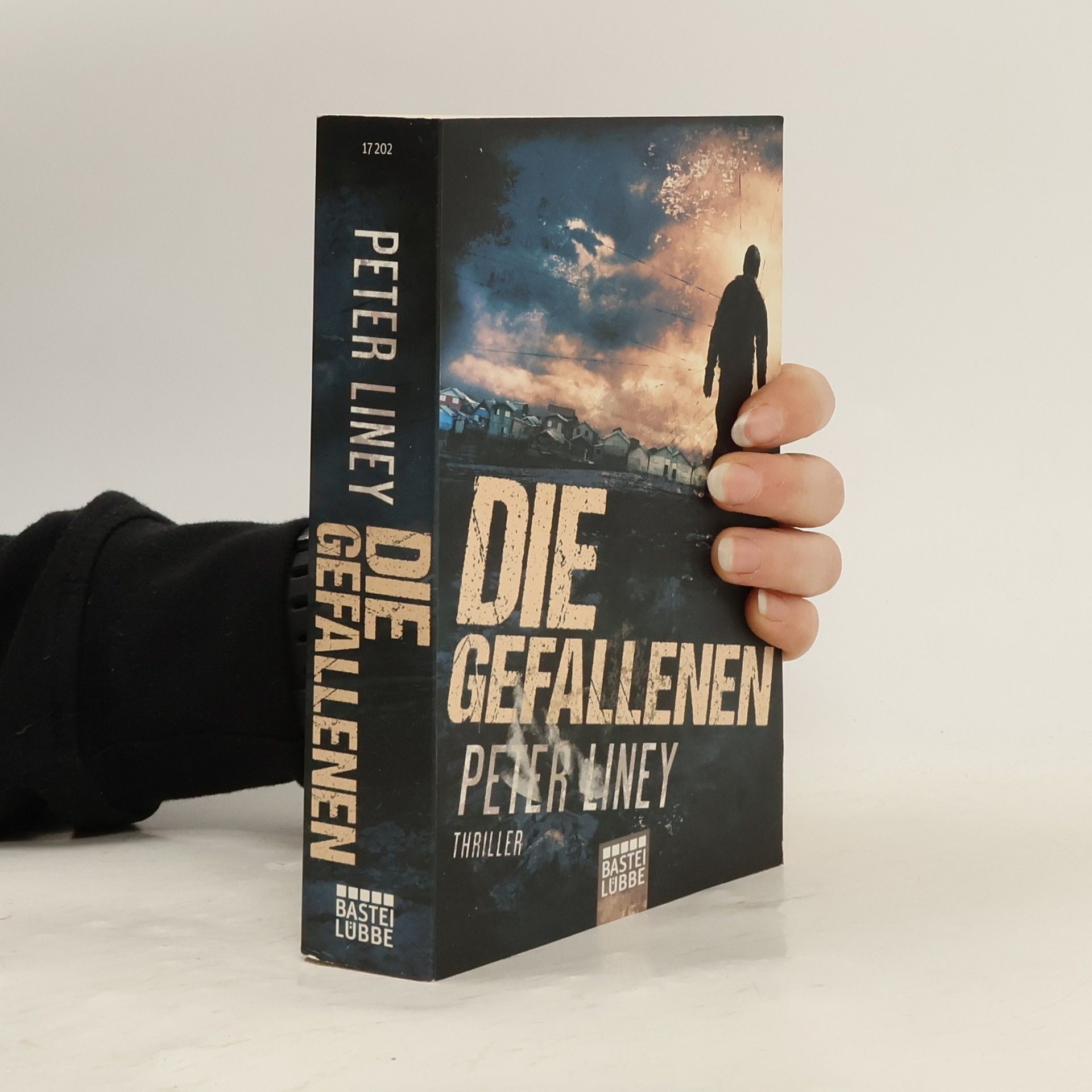 Peter Liney Die Gefallenen