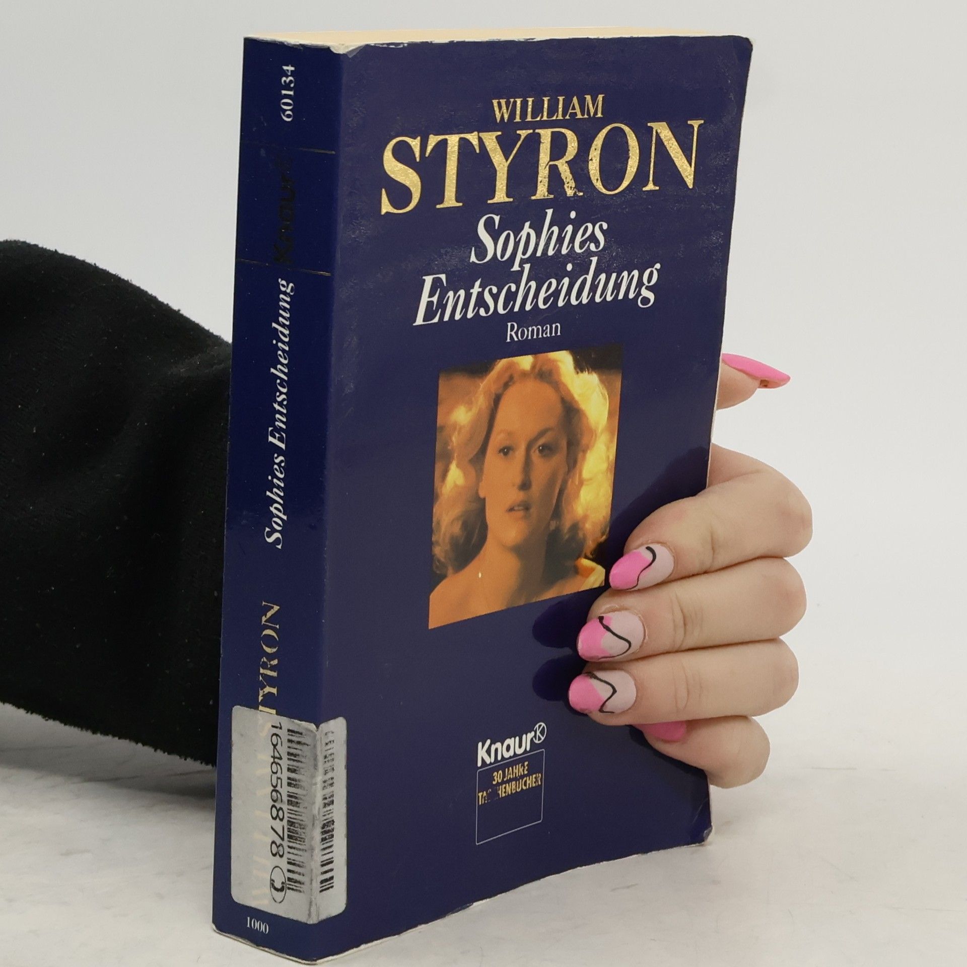 William Styron Sophies entscheidung