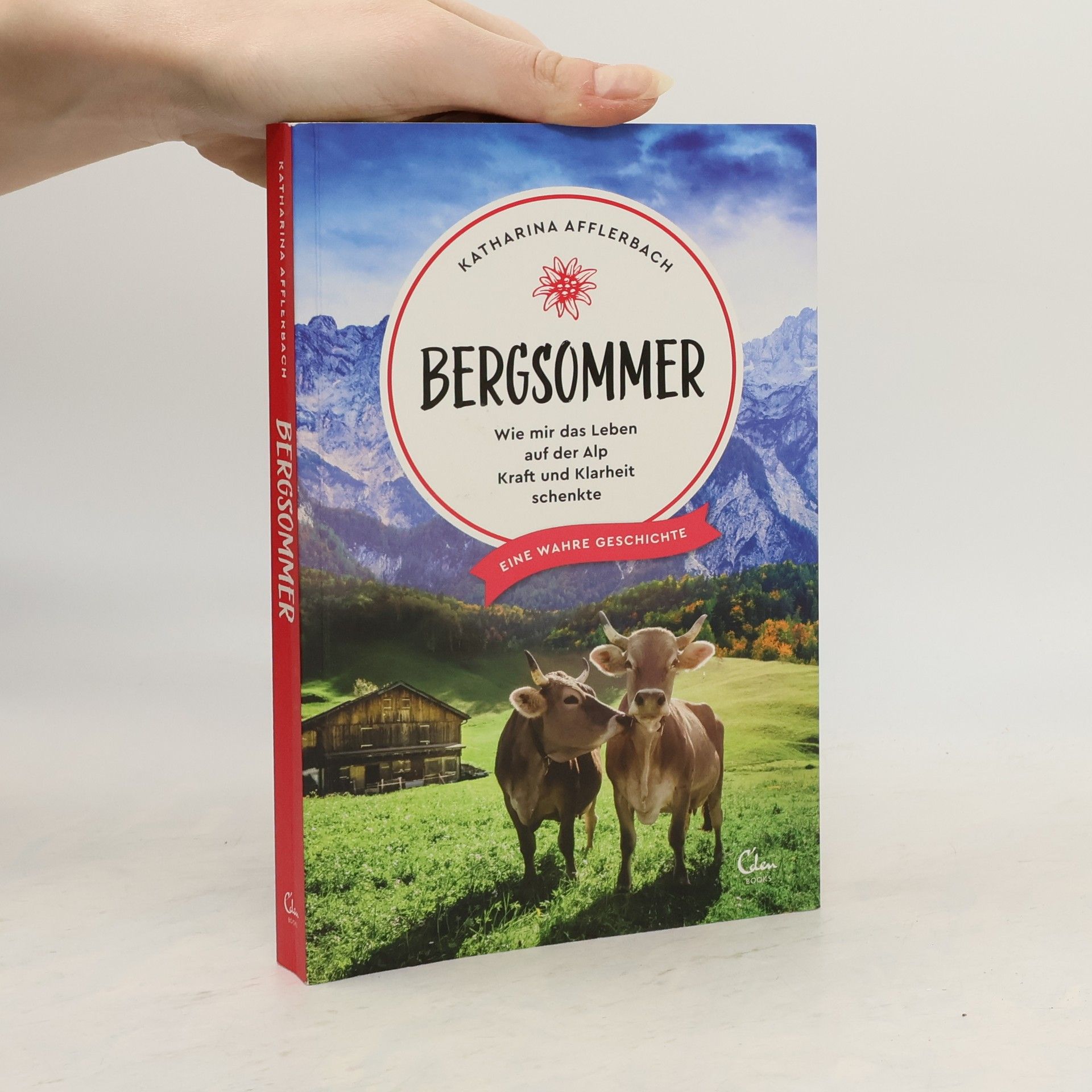 Katharina Afflerbach Bergsommer