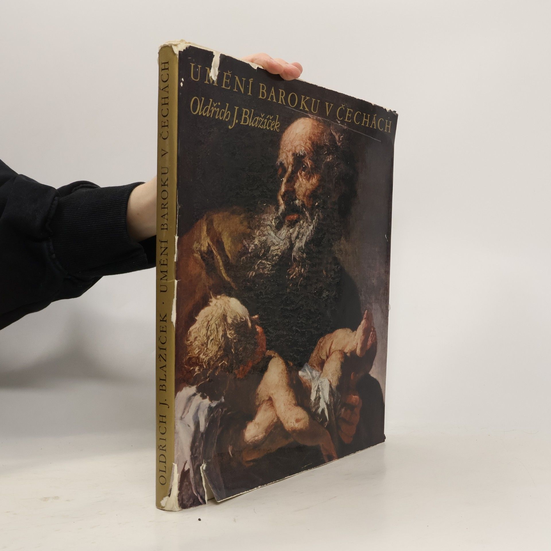 Oldřich J. Blažíček Umění baroku v Čechách