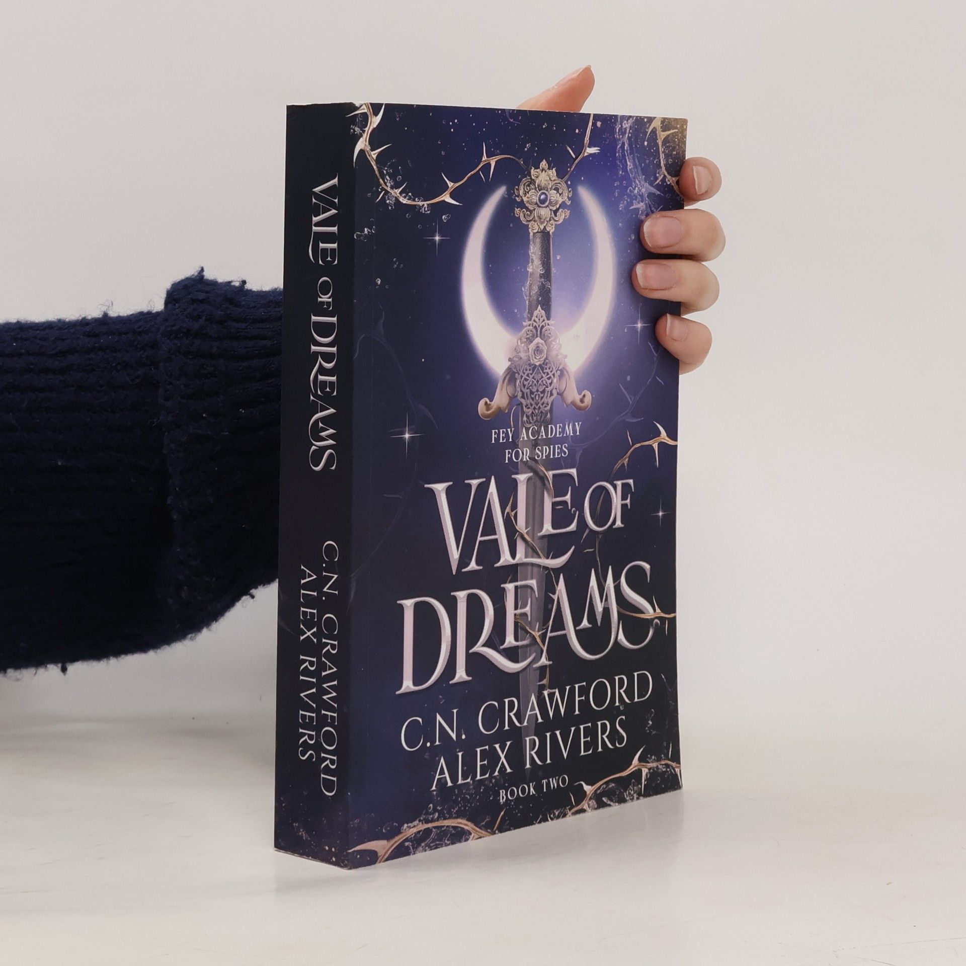 Fey Spy Academy - 2: Vale of Dreams