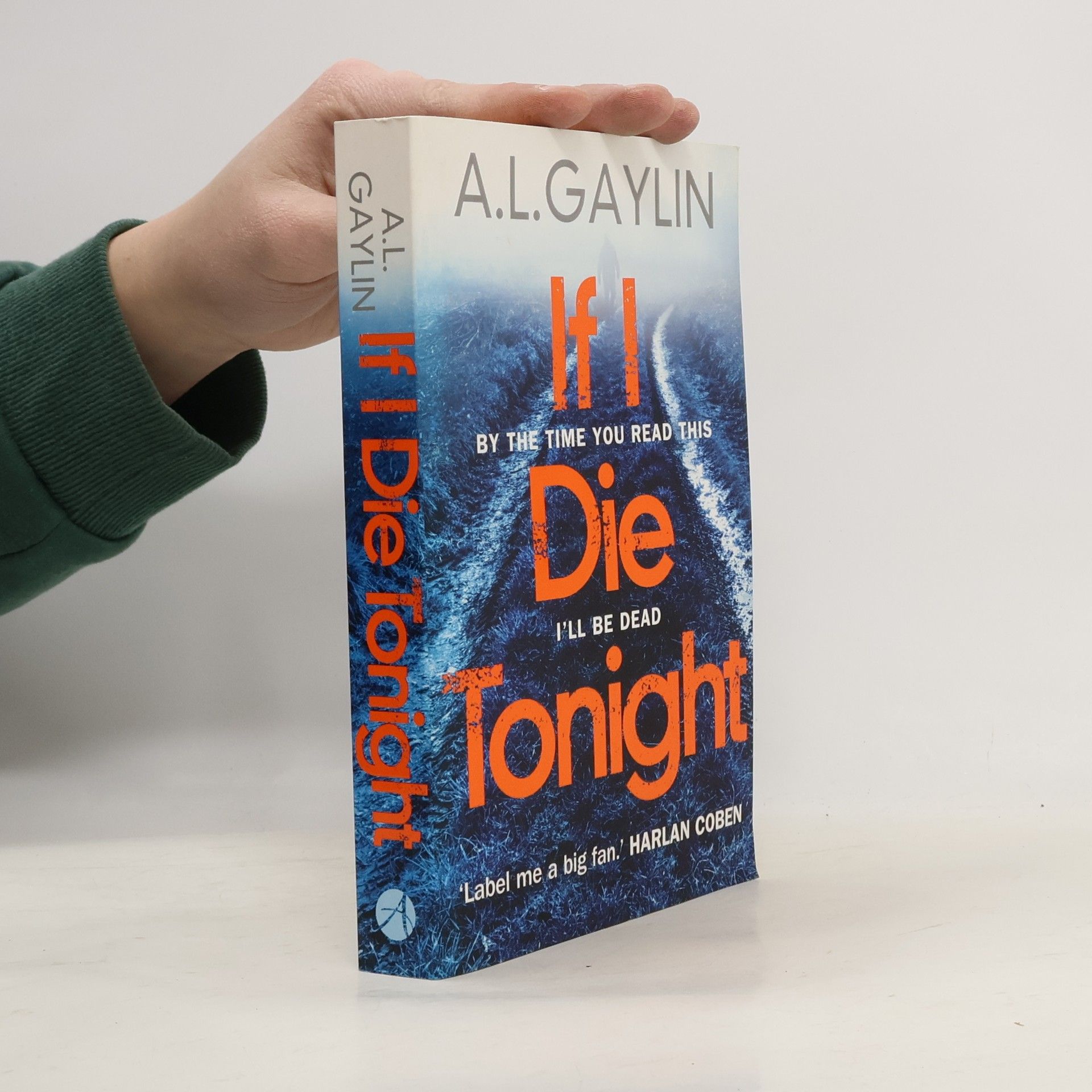 Alison Gaylin If I Die Tonight