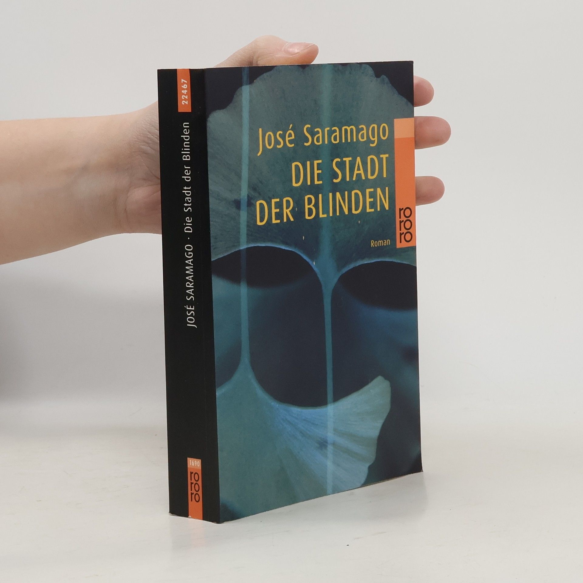 Die Stadt der Blinden