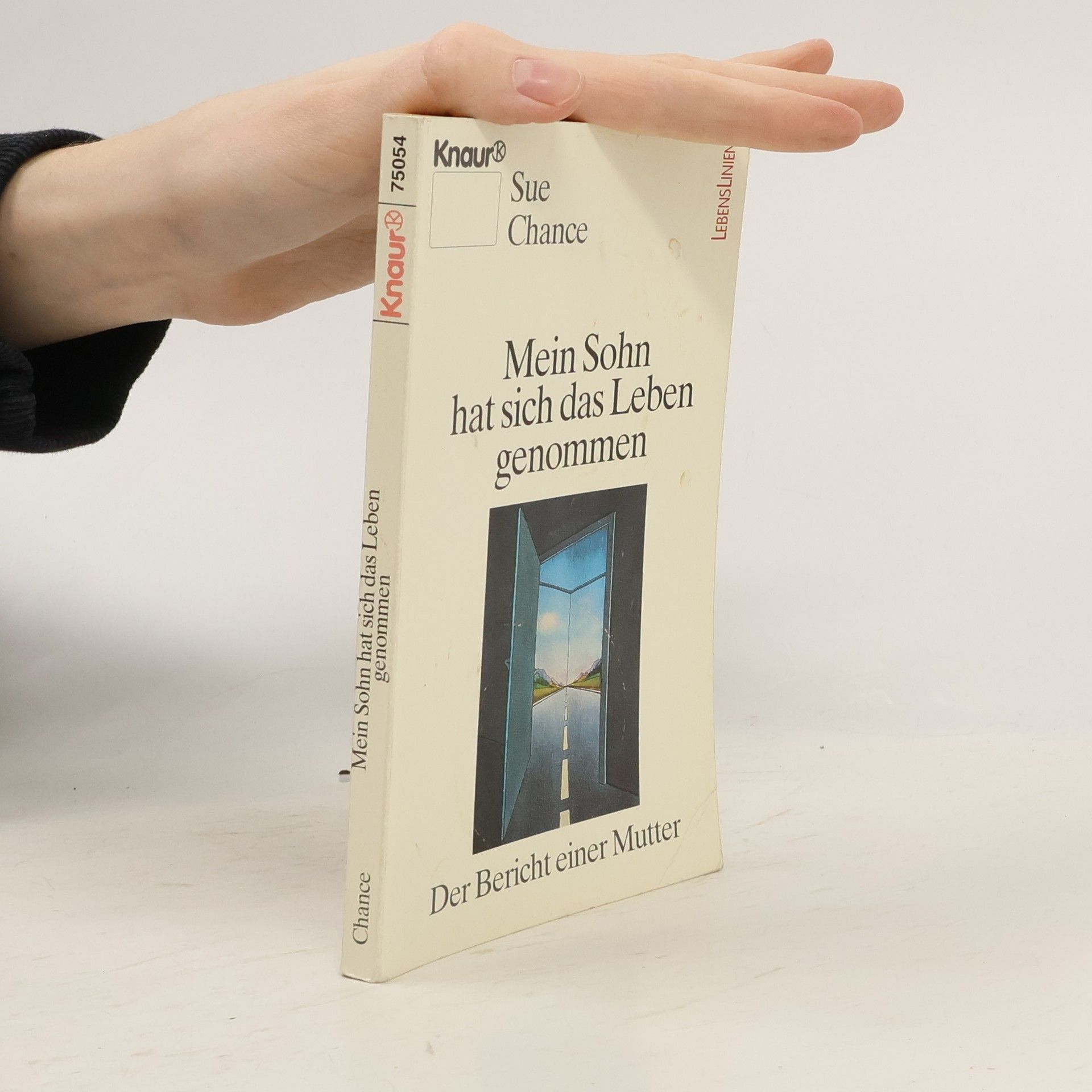 Sue Chance Lebenslinien: Mein Sohn hat sich das Leben genommen