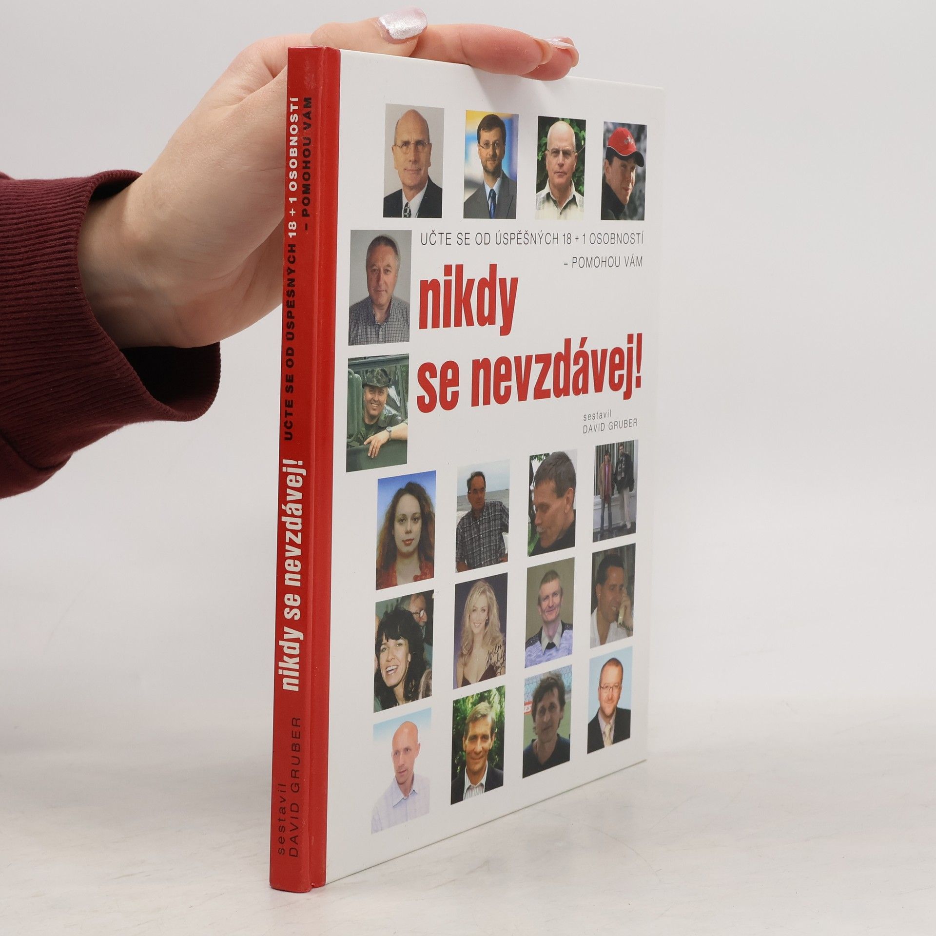 David Gruber Nikdy se nevzdávej! Učte se od úspěšných 18+1 osobností - pomohou vám