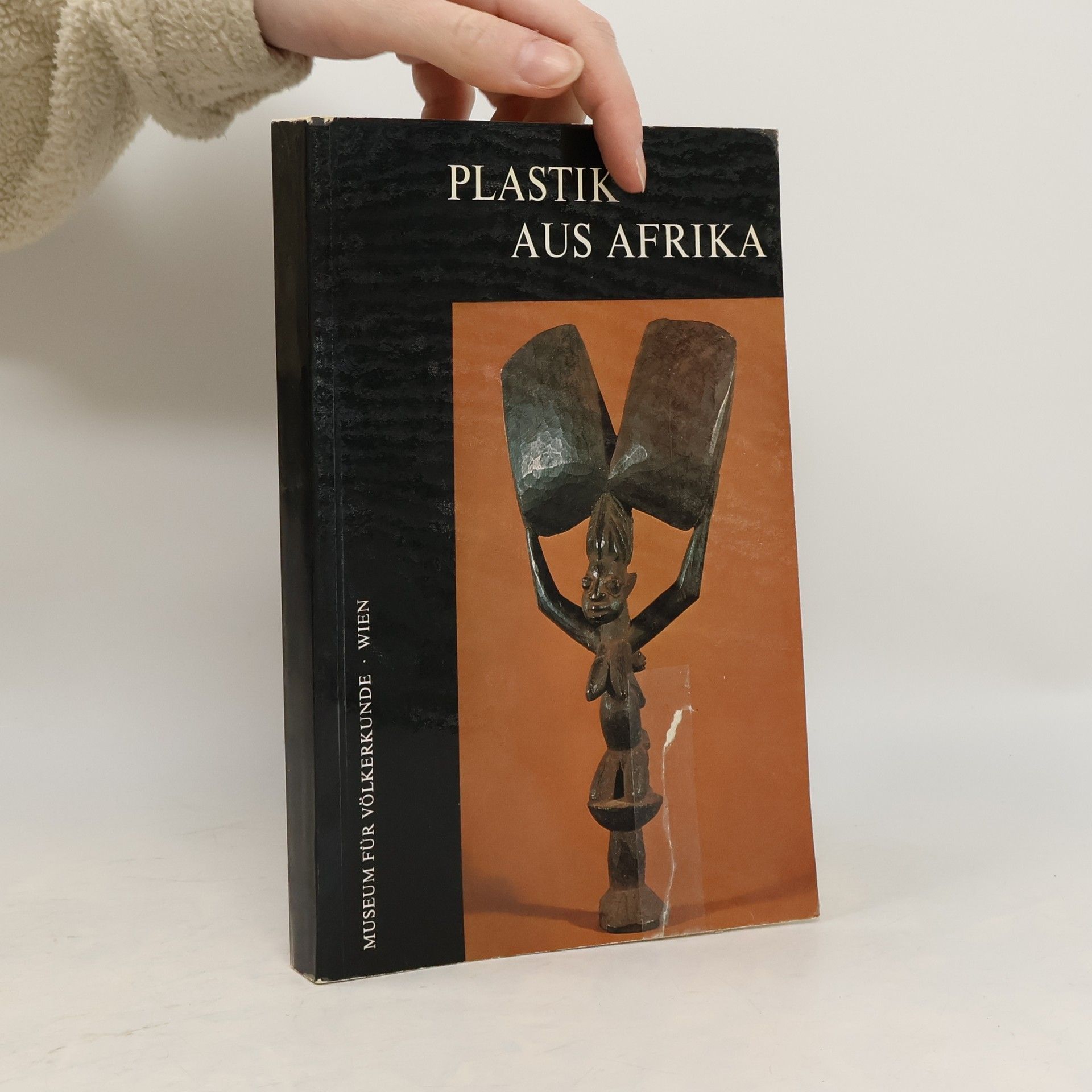 Kolektív autorov Plastik aus Afrika