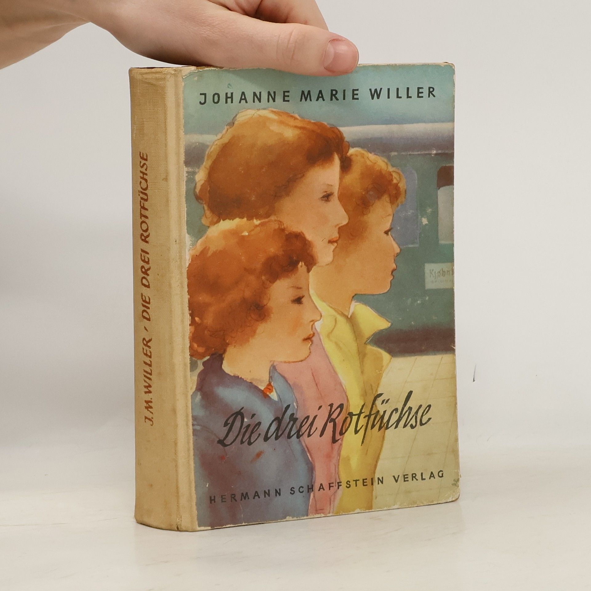 Johanne Marie Willer Die drei Rotfuchse
