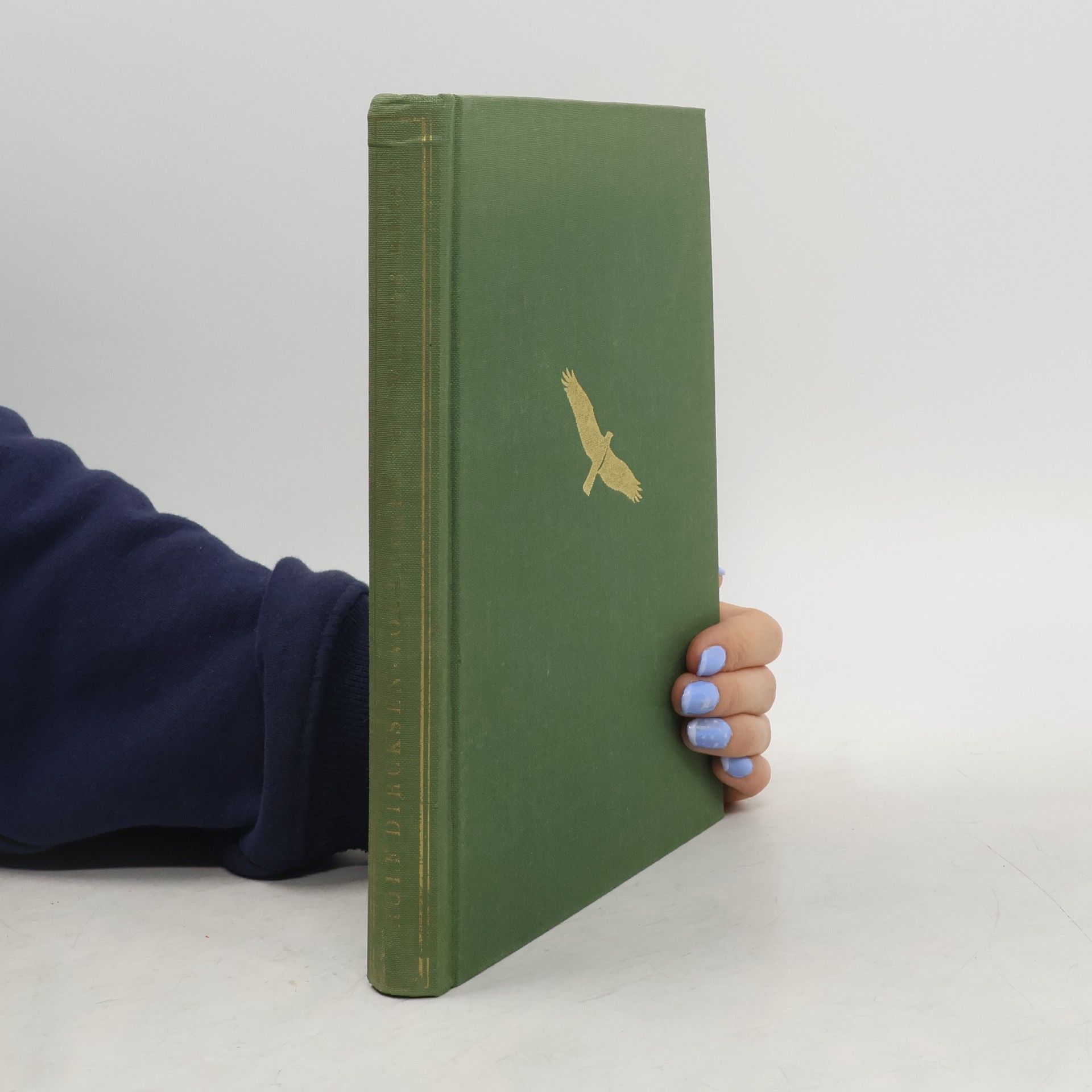 Rolf Dircksen Vogelvolk auf weiter Reise