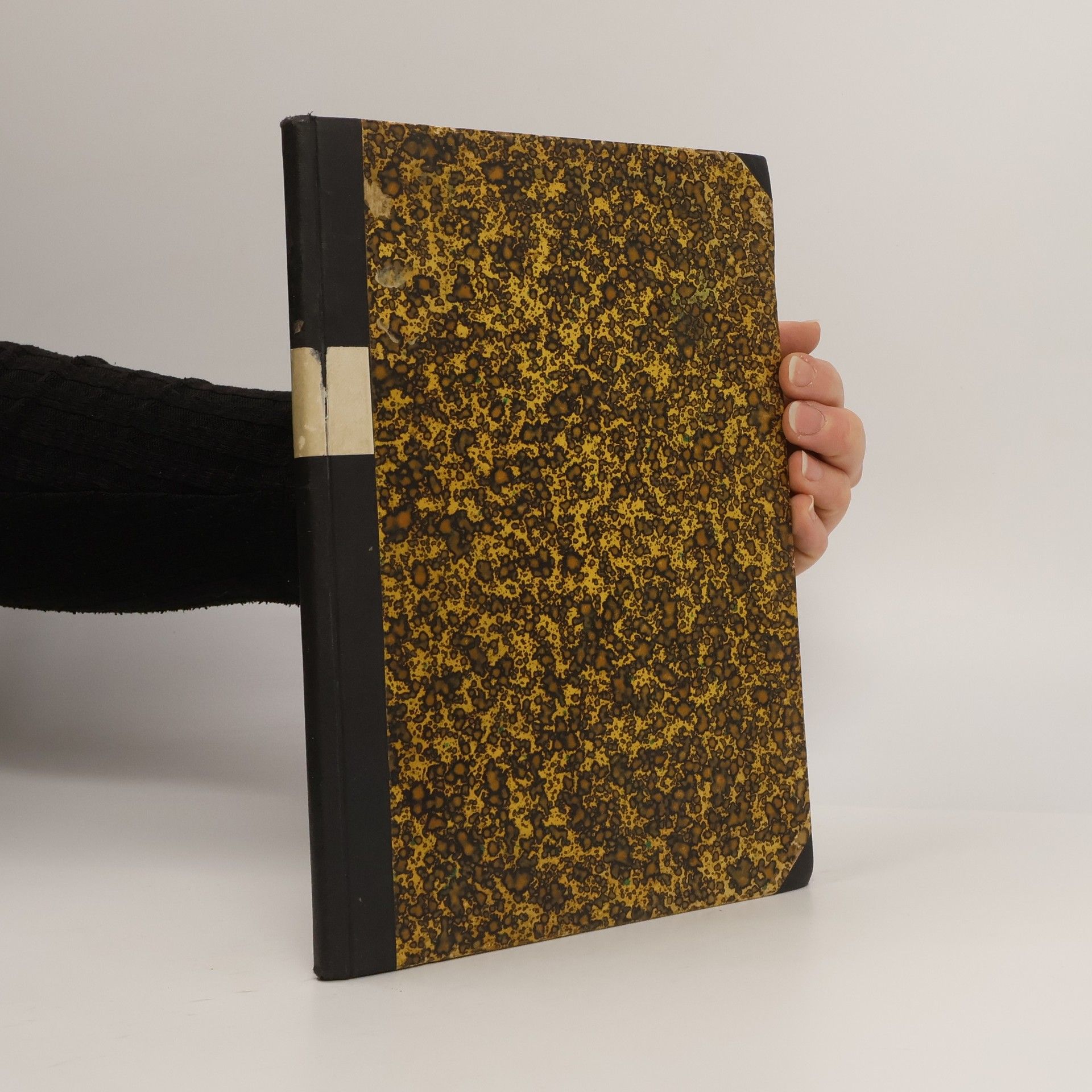 Adolf Liebscher České elegie