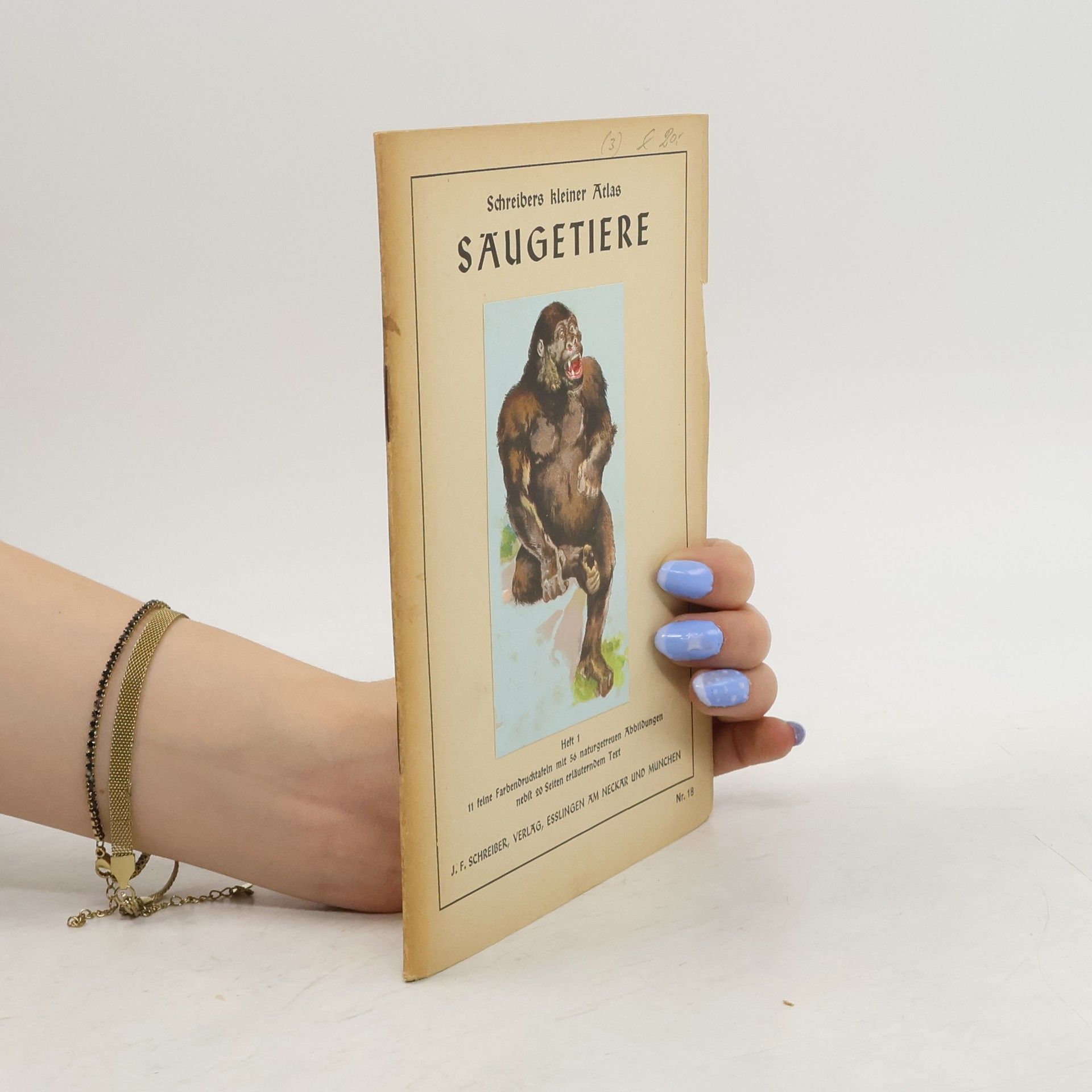 Collectif d'auteurs Säugetiere Heft 1