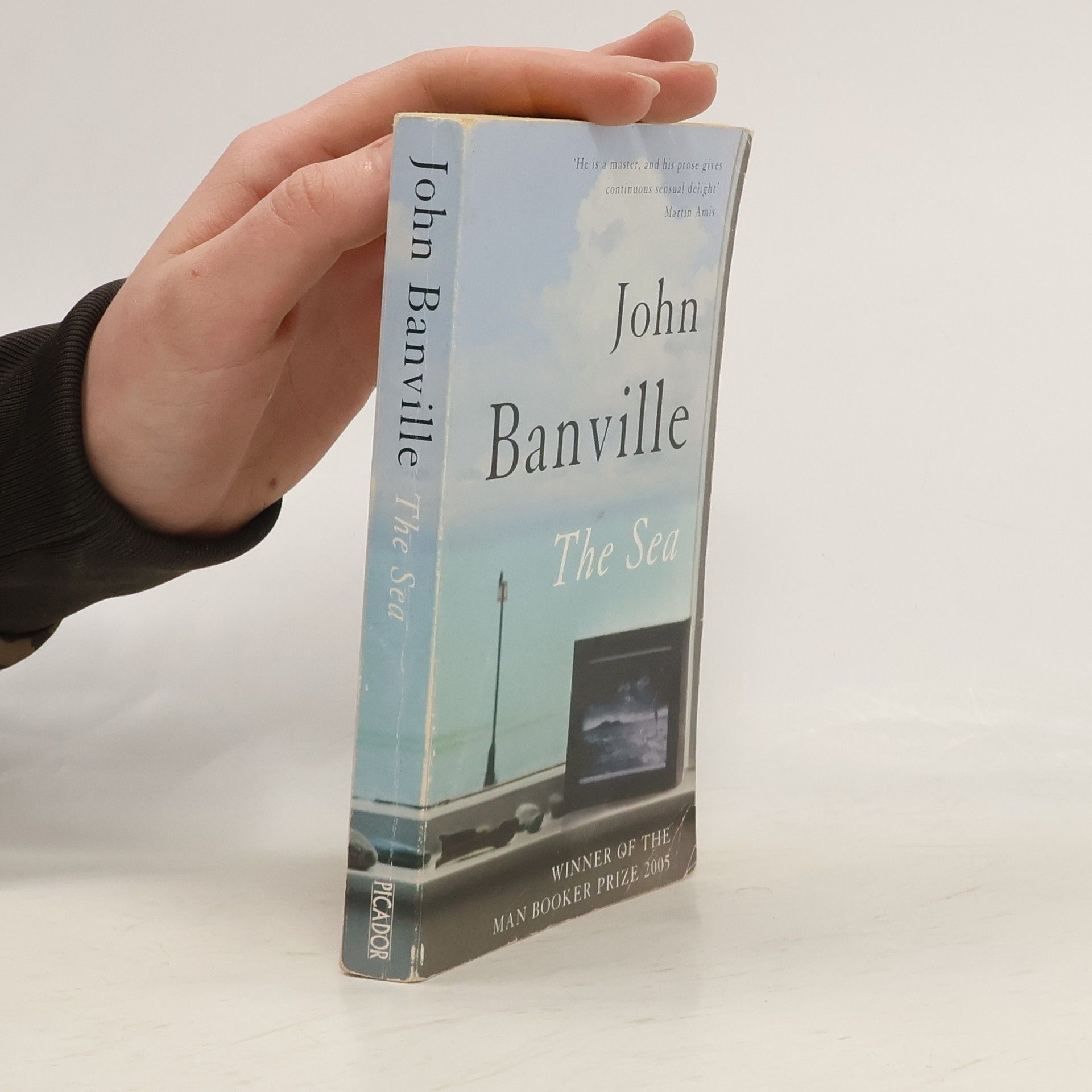 John Banville The sea