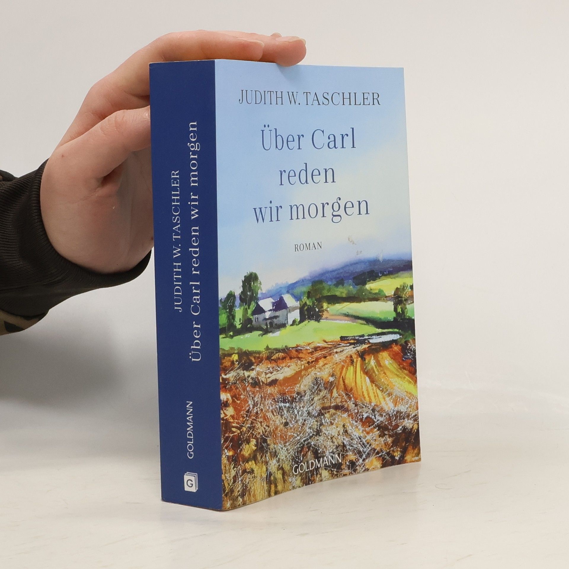 Judith Taschler Über Carl reden wir morgen