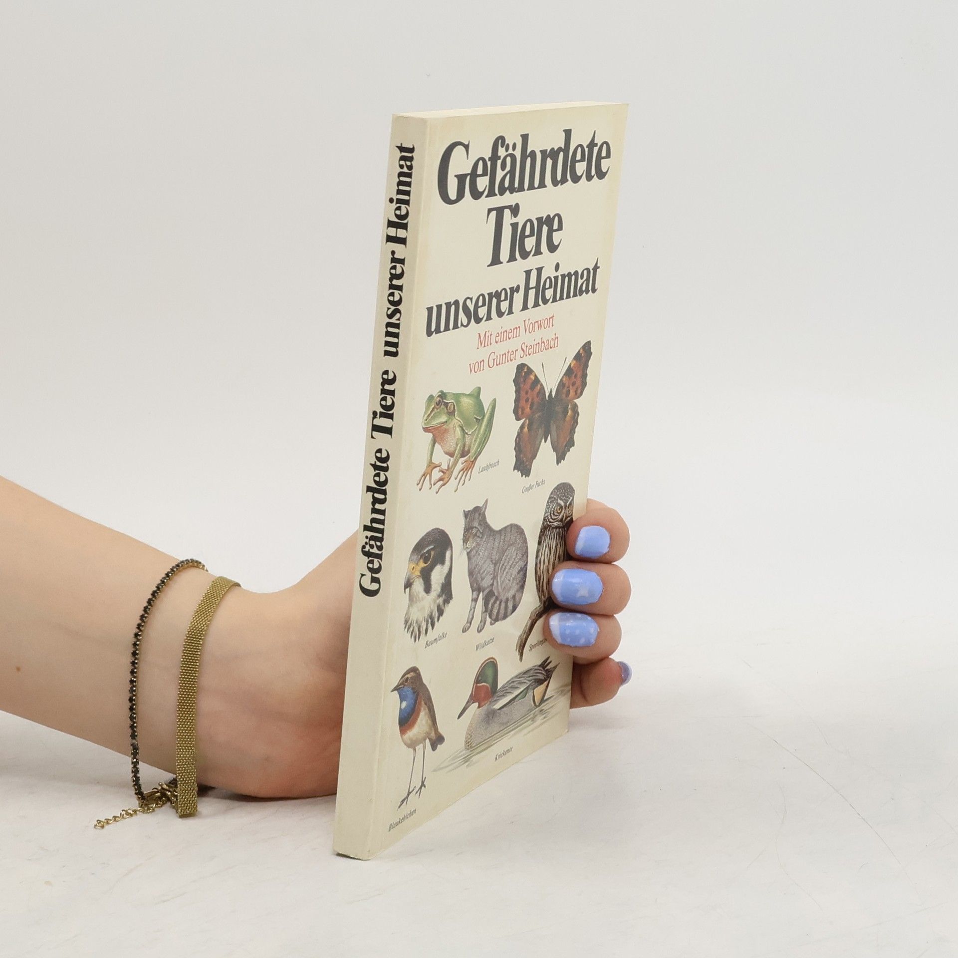 Kolektiv autorů Gefährdete Tiere unserer Heimat