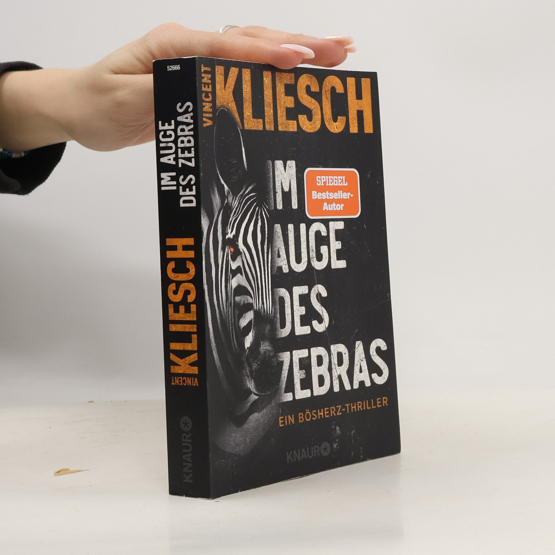 Vincent Kliesch Im Auge des Zebras