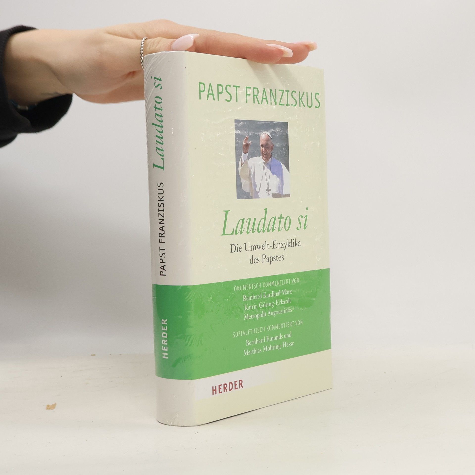 Papst Franziskus Laudato si - Die Umwelt-Enzyklika des Papstes